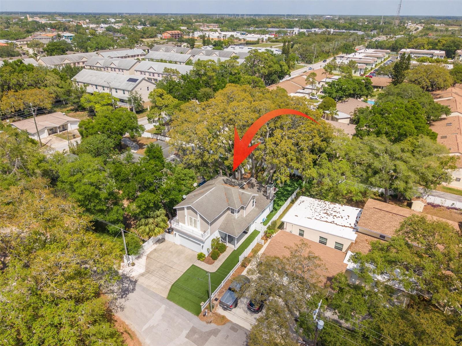 Secluded street, Sisler baseball fields across from the front yard, Tarpon Springs Municipal golf course hole 6 is at the end of the cul-de-sac.