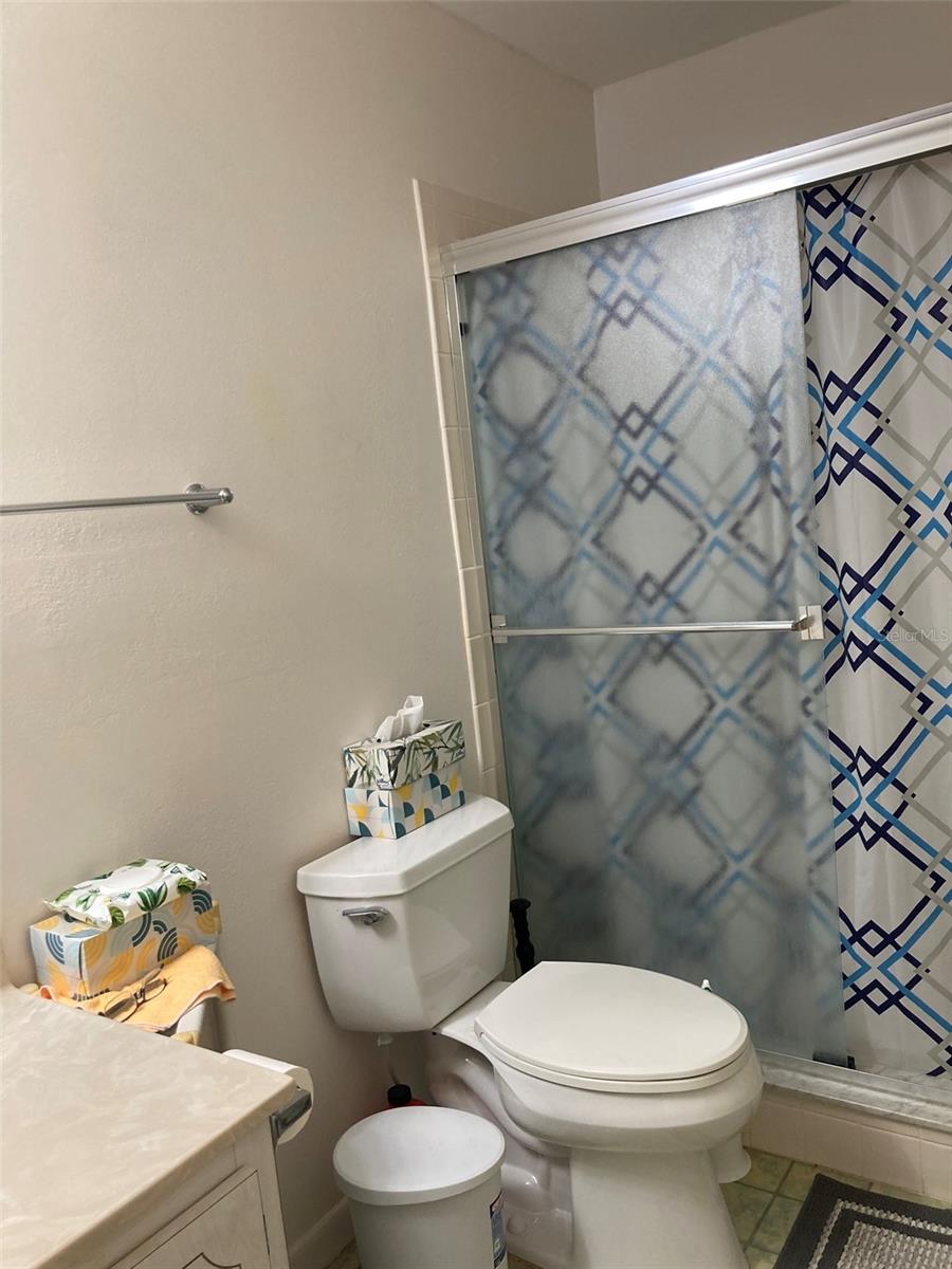 Step in shower in updated bath