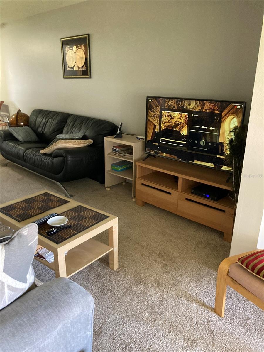 Living/dining area