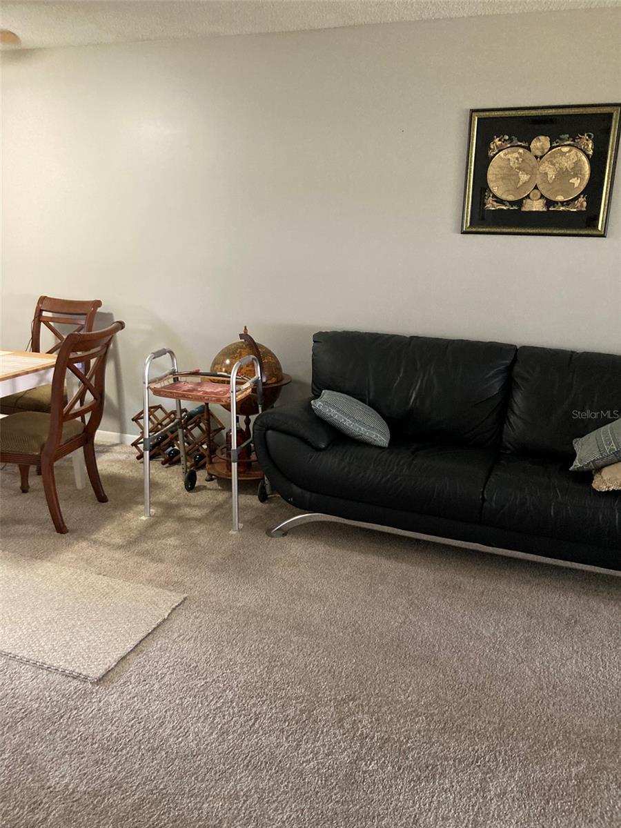 Living/dining area