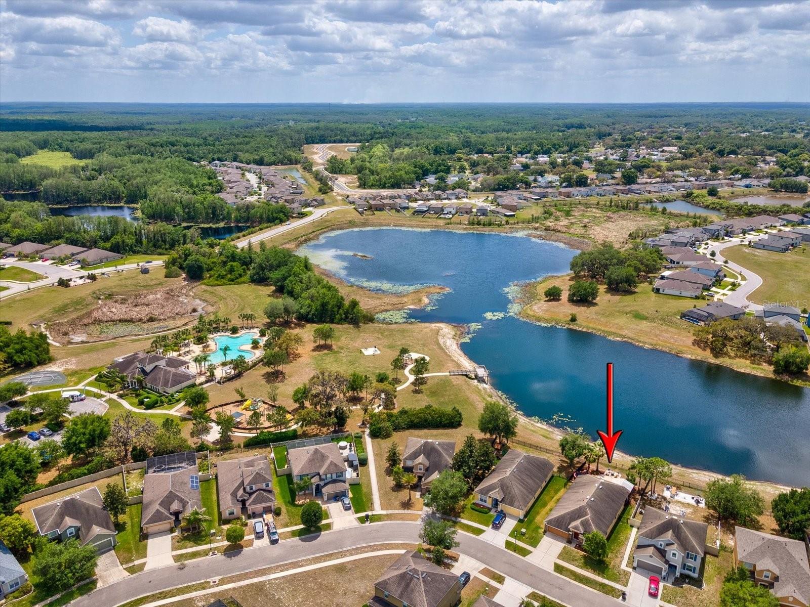 W7884793
