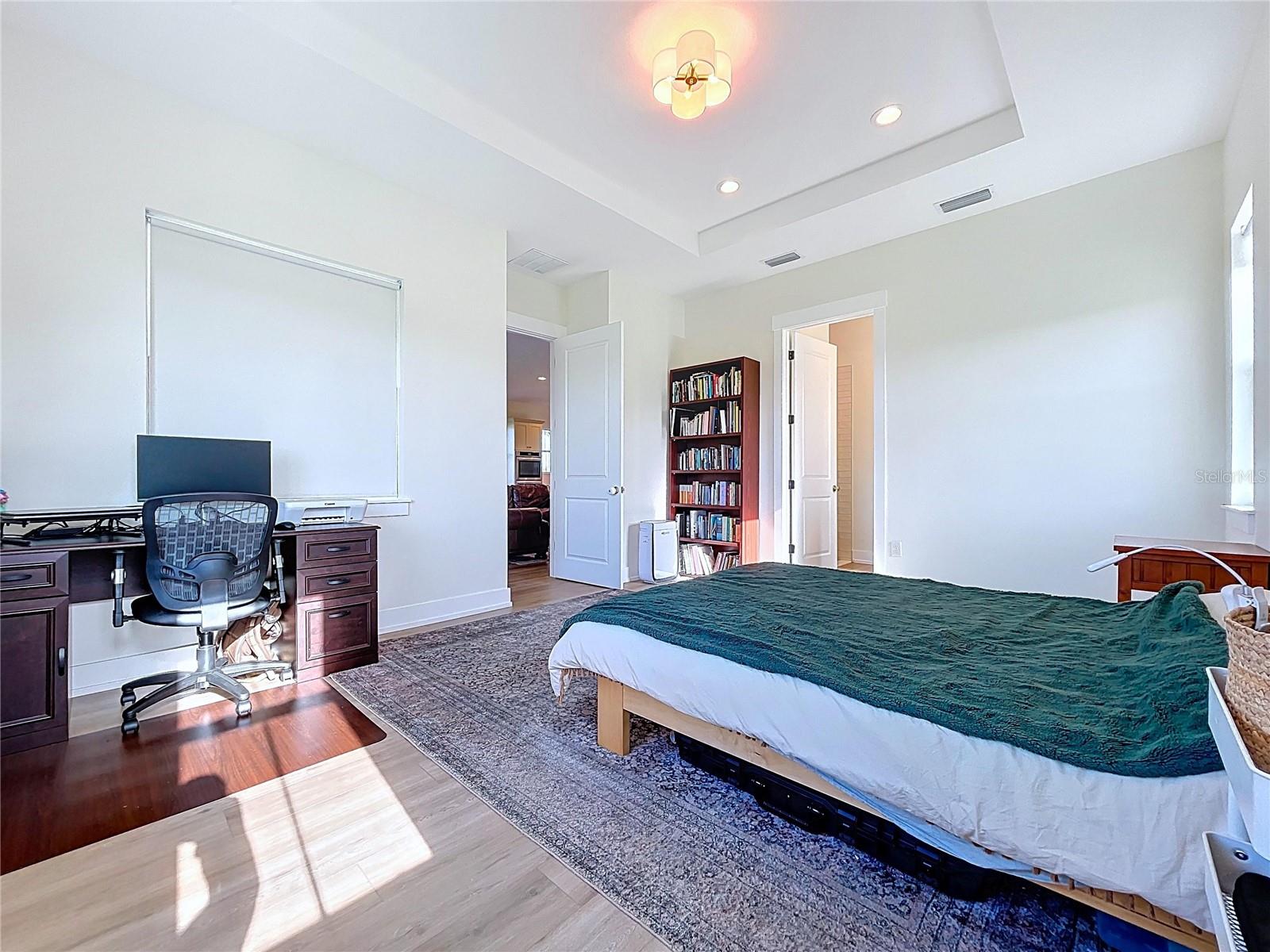 Master Bedroom Tray Ceiling