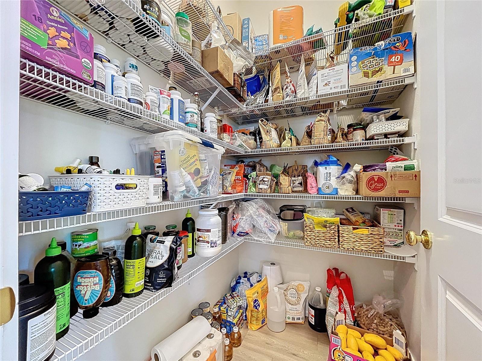 Large Walk-in Pantry