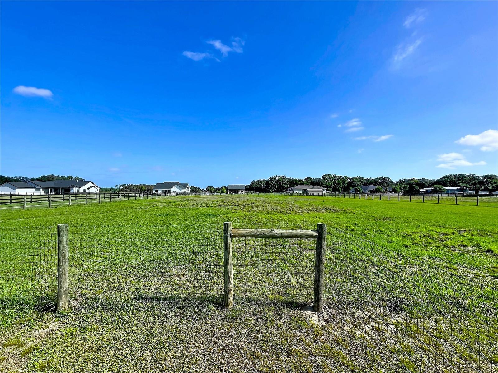 Back Border of Property