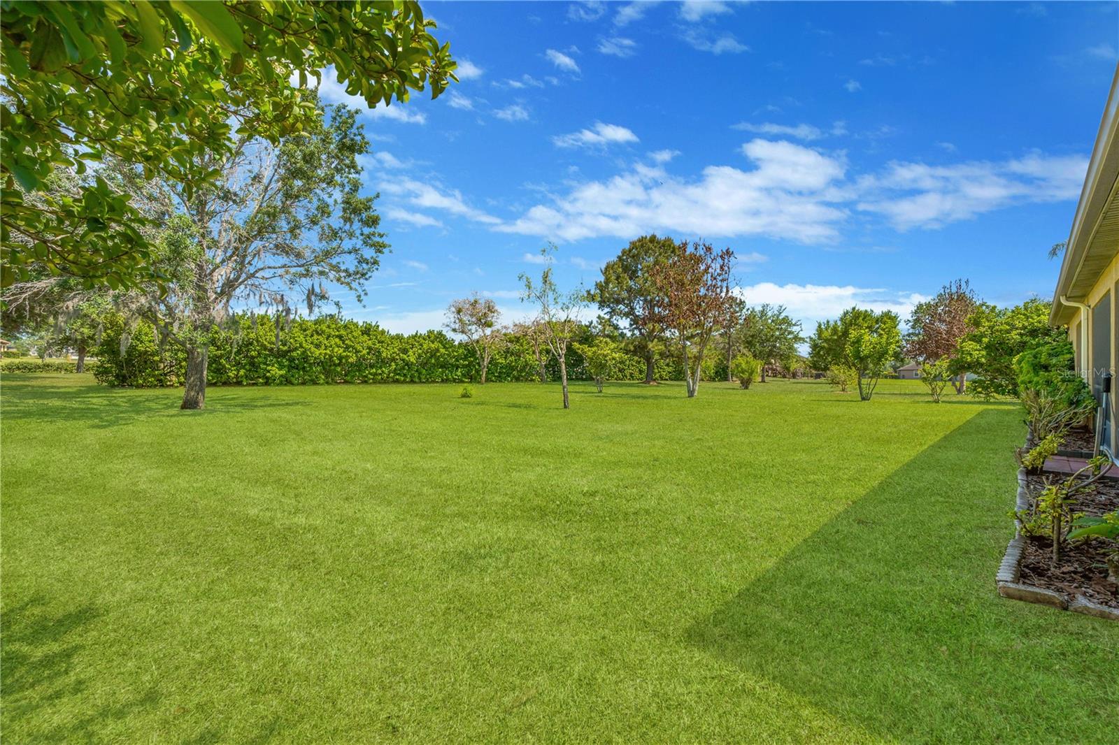 View from the lanai of the enormous park-like backyard, offering exceptional privacy enhanced by tall hedges.
