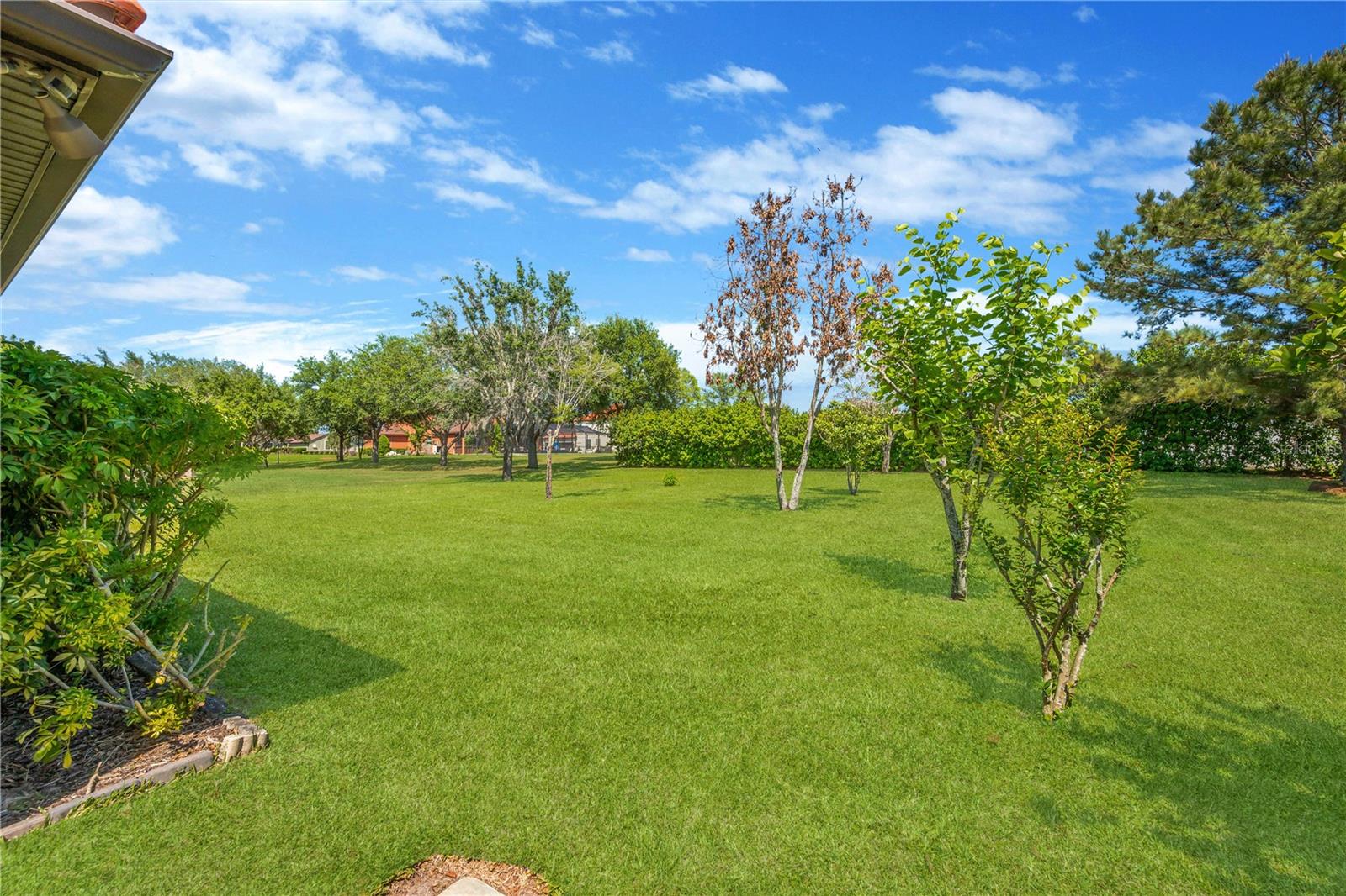 Enjoy your own fruit trees, including a mature avocado tree and a charming kumquat tree, adding both character and fresh homegrown harvests to this backyard retreat.