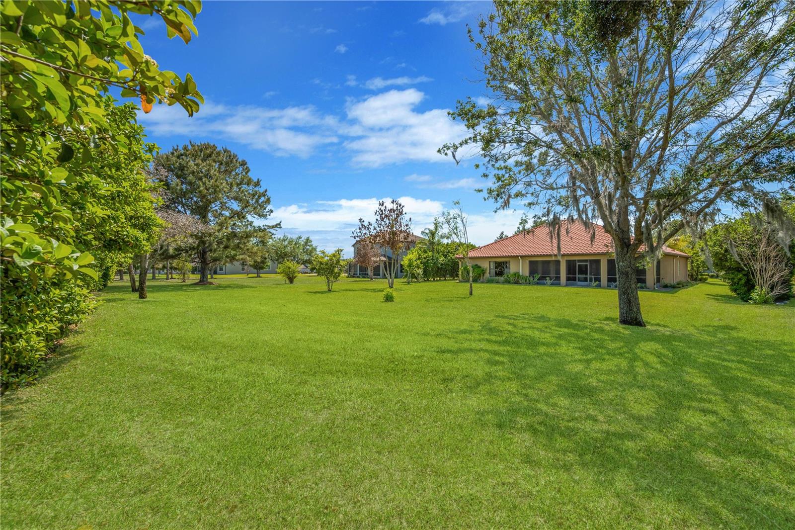 View from back boundry of this peaceful, secluded yard.