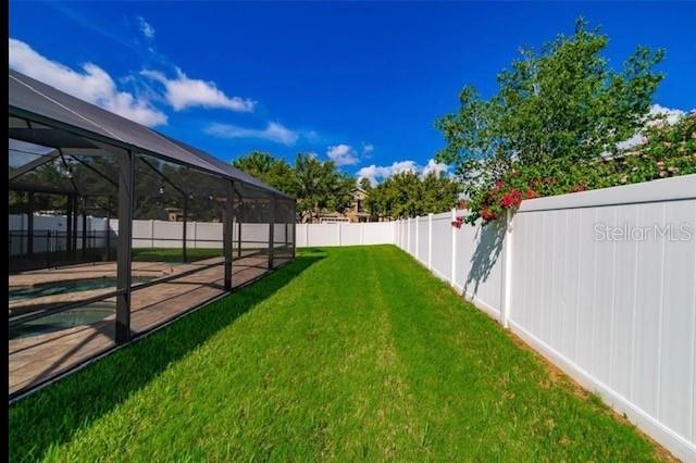 Yard in Back of Cage