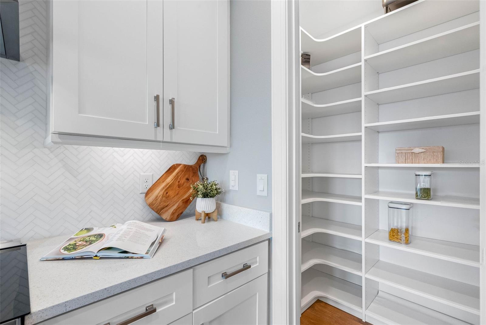 Large Pantry with plenty of storage