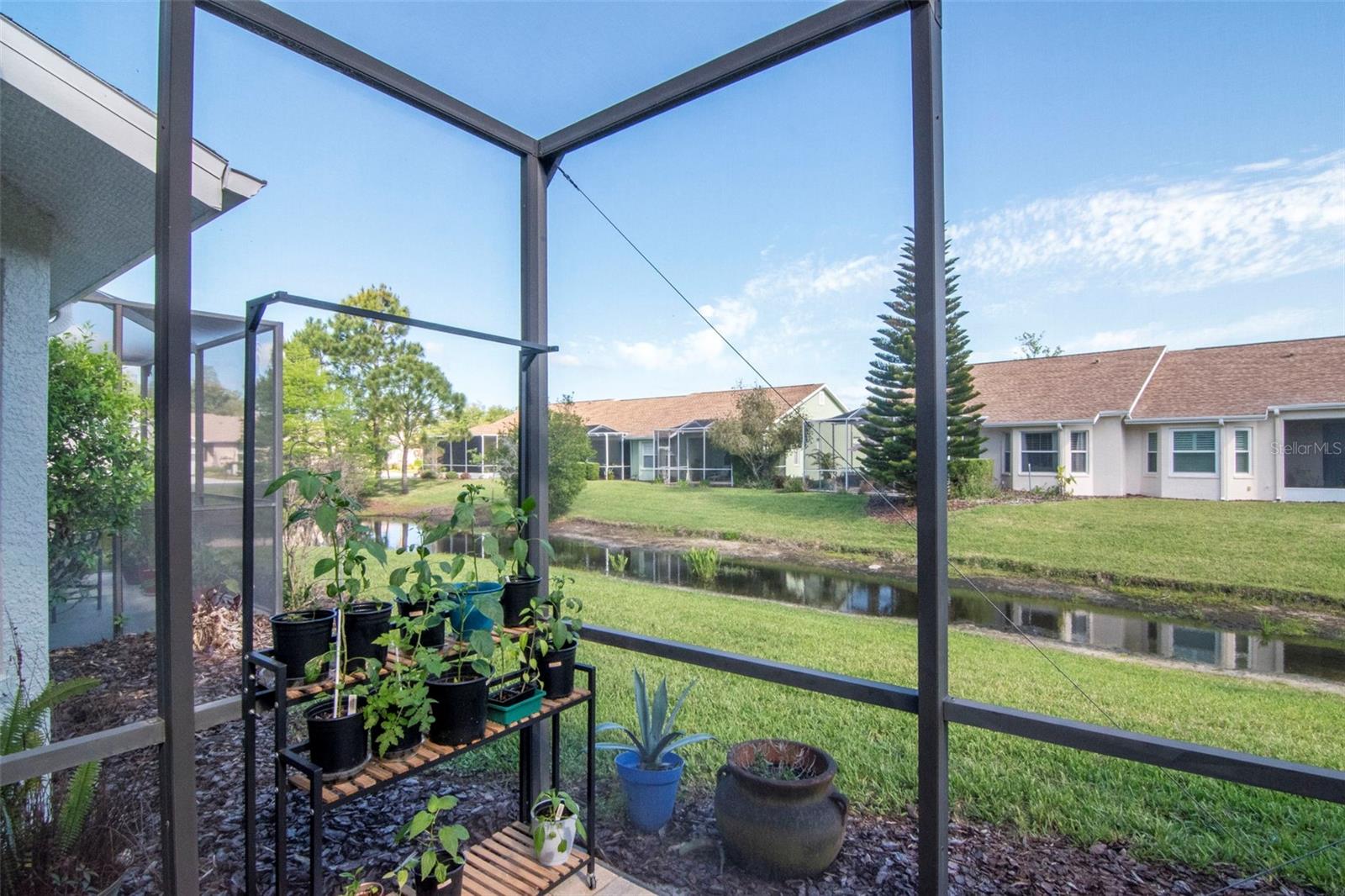 Serene pond backdrop