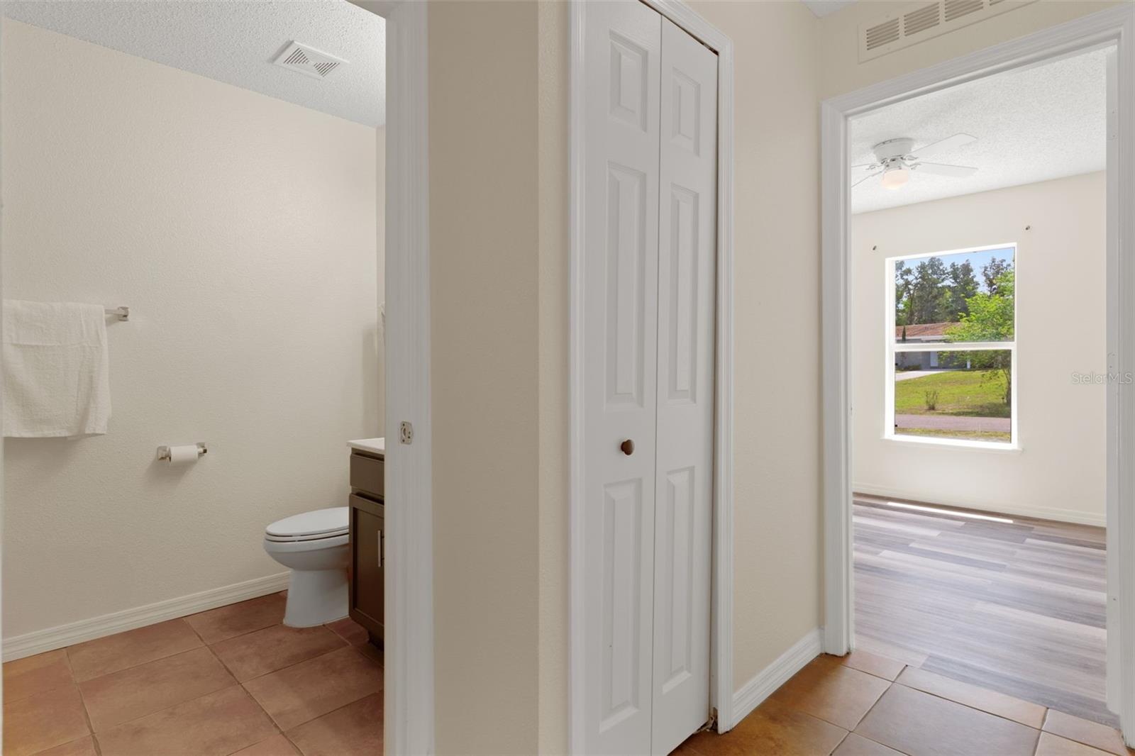 Guest Bath and hallway