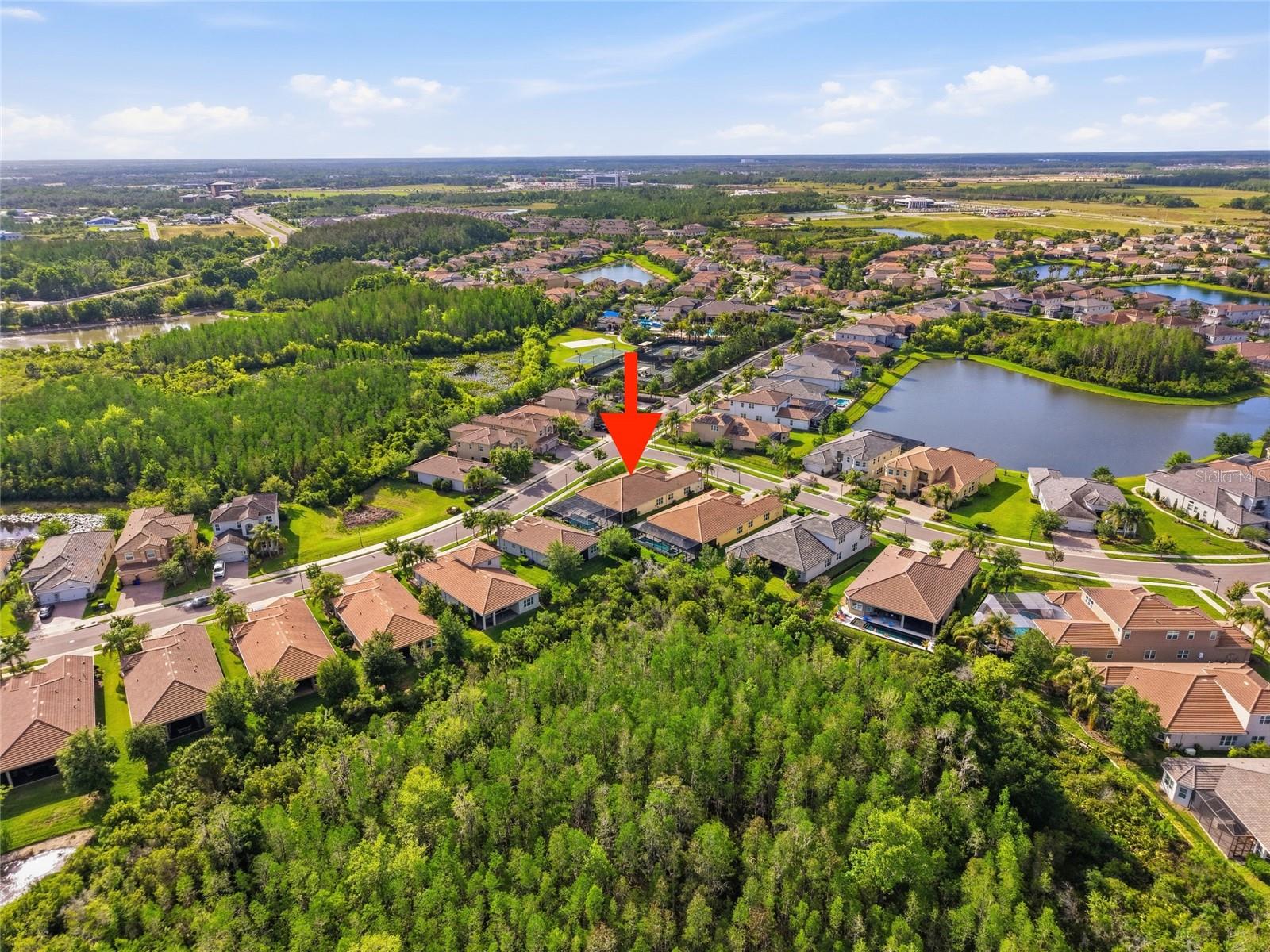 Your New Beautiful Home