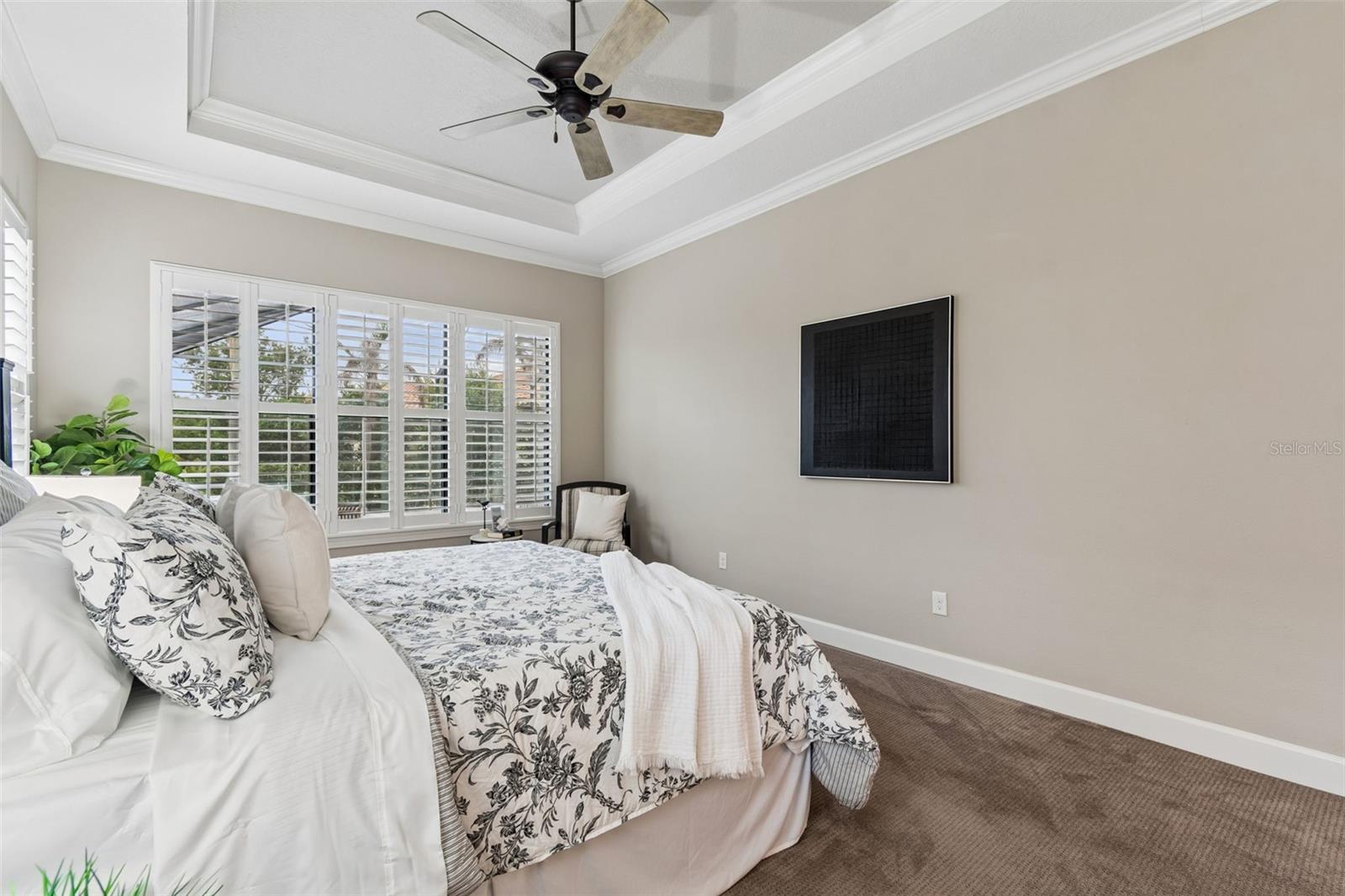 TB8497411