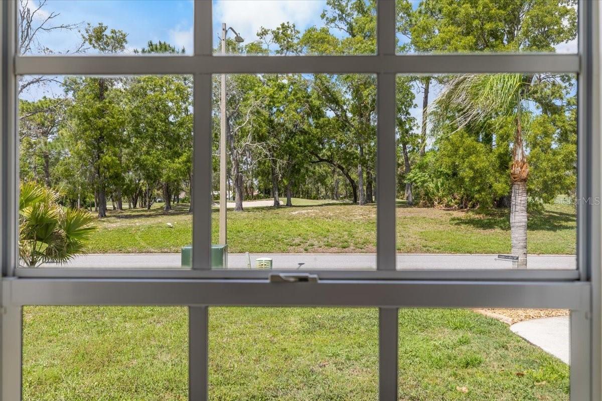 View of 18th Fairway