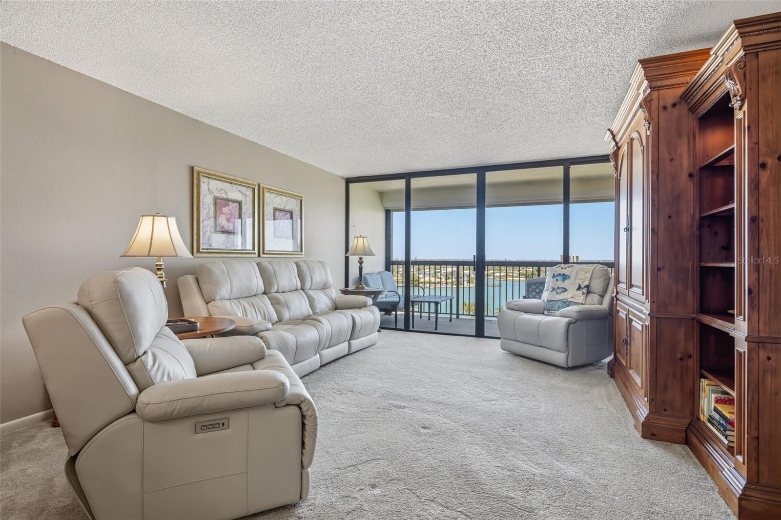 Living Room with Views