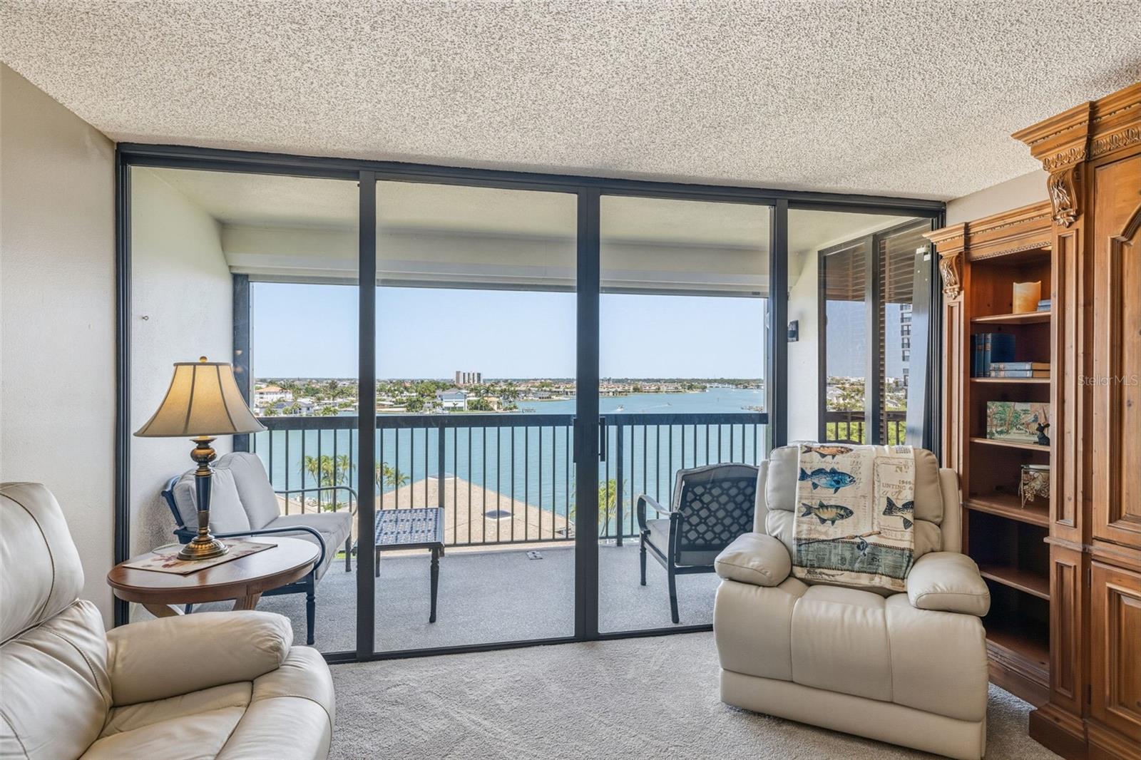 Living Room with Views
