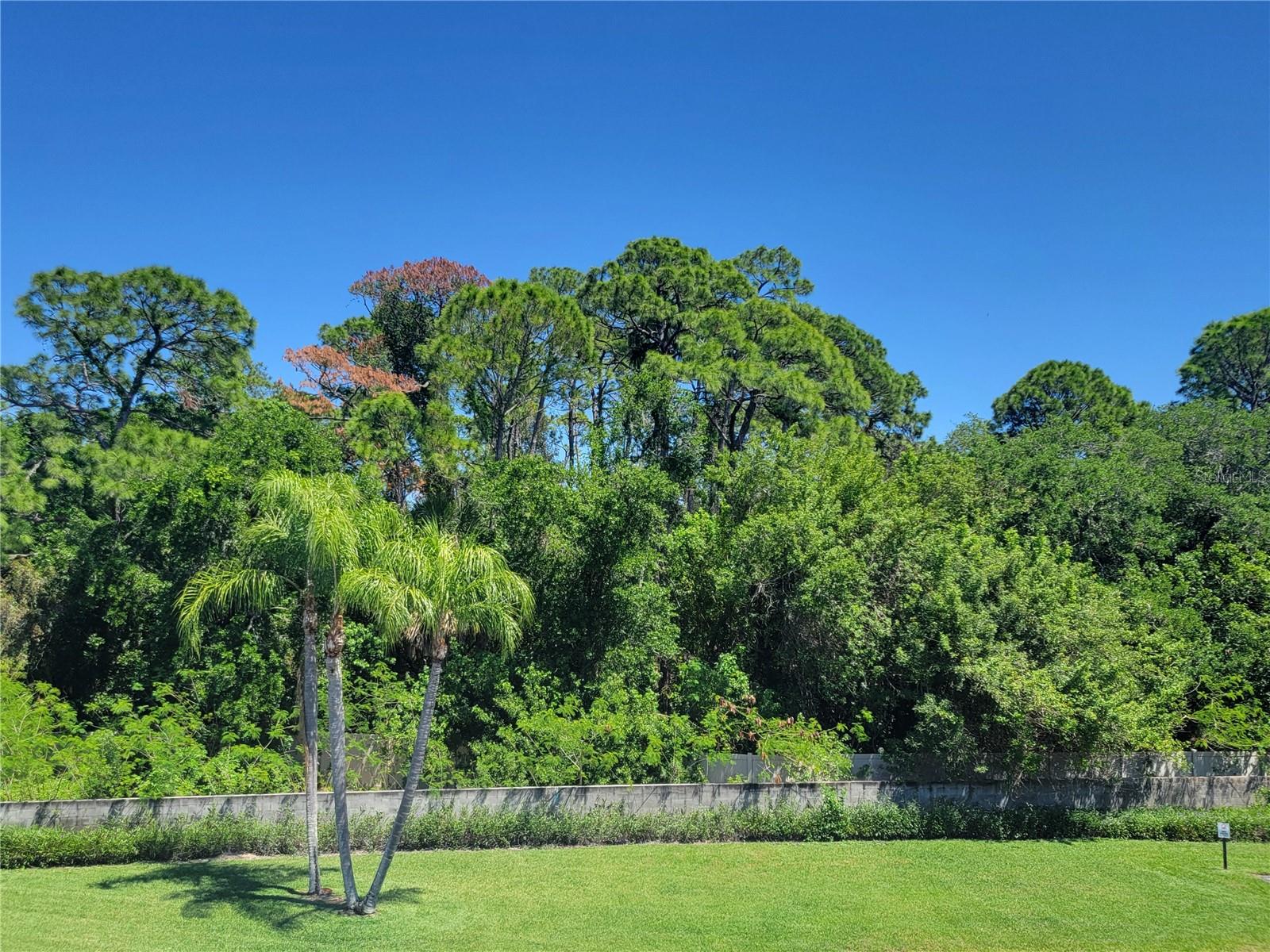 View from front of unit