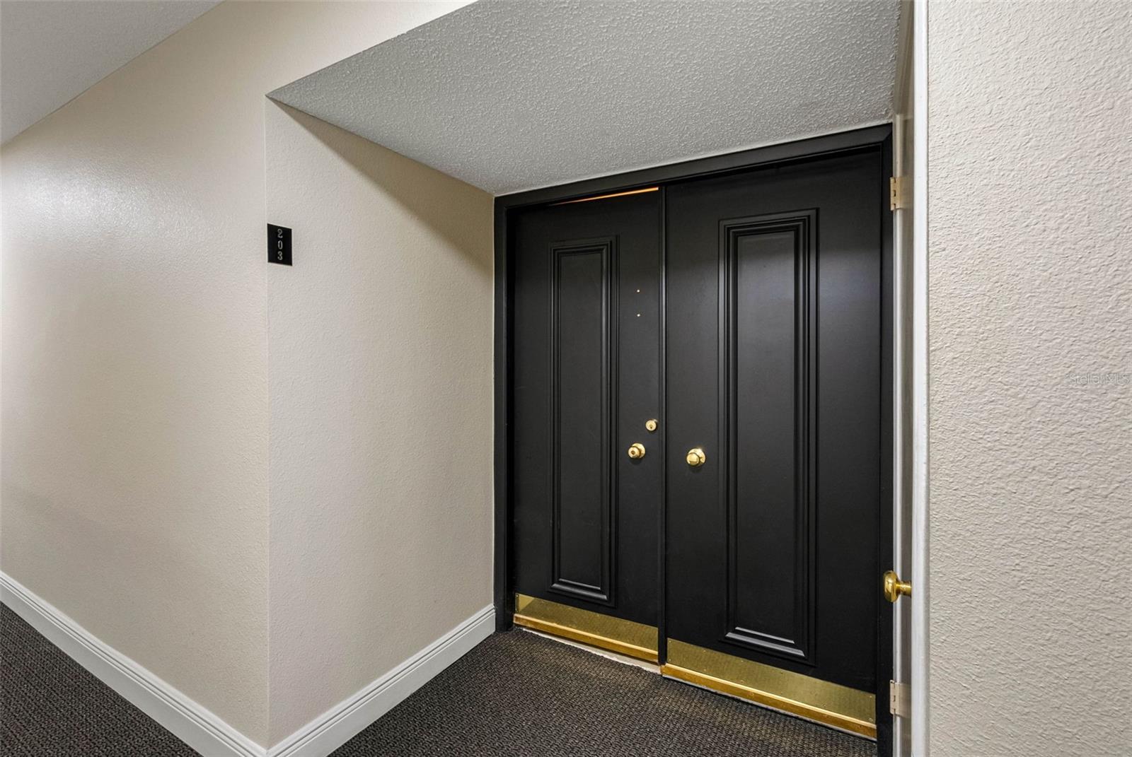 Double Door Entry into unit 203