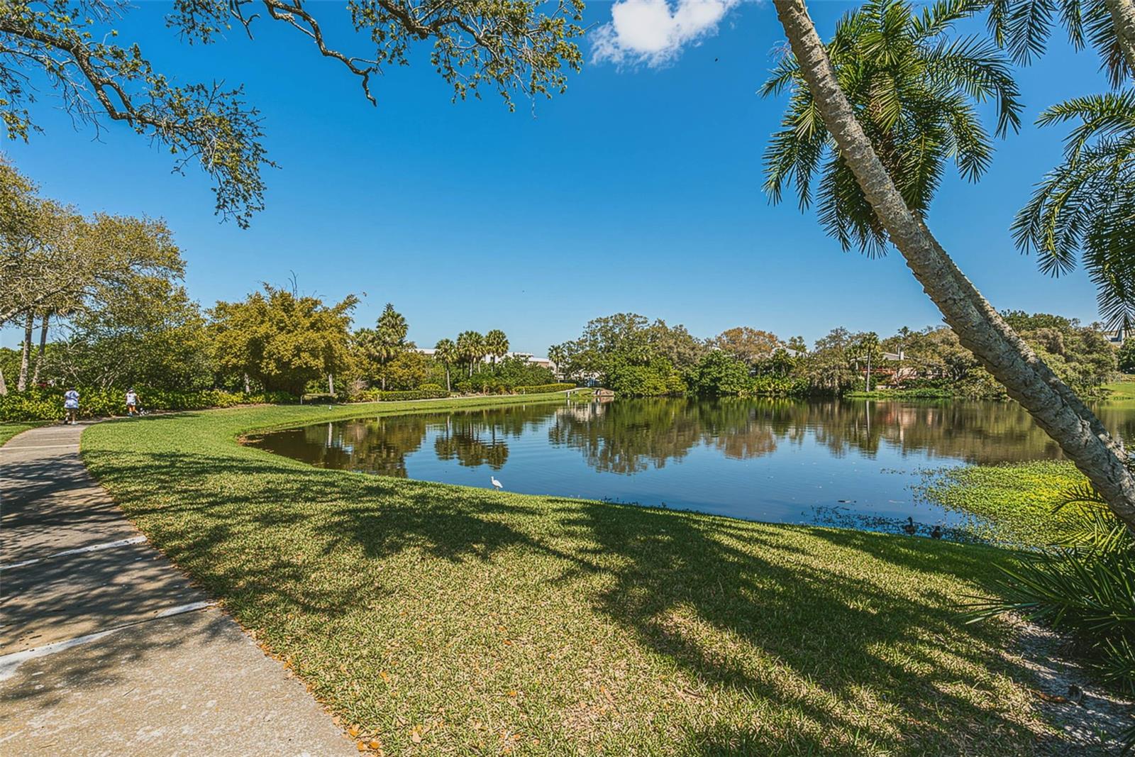Harold's Lake on North Side of Property