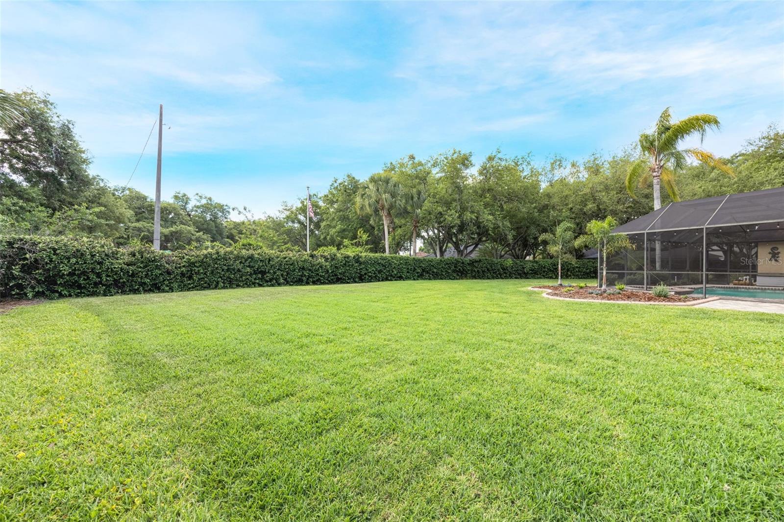 The extremely spacious backyard!