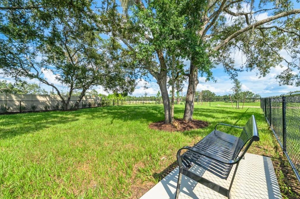 Palm Wind Community Amenities