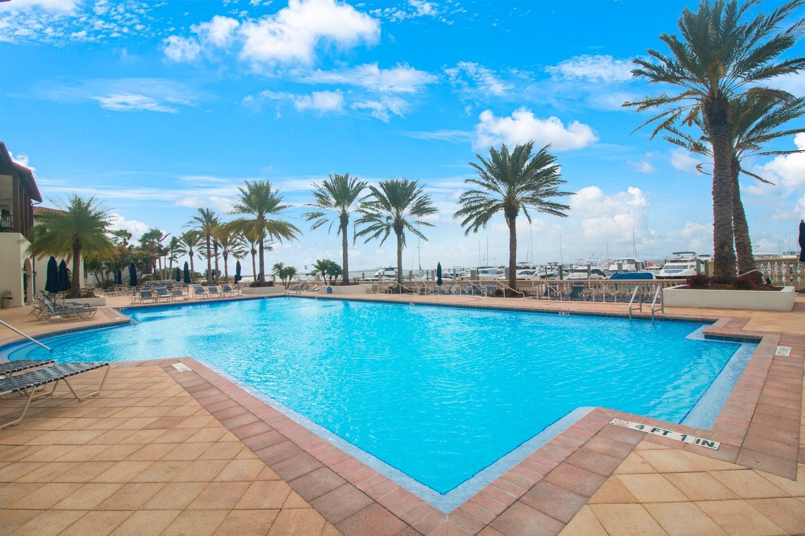 Enjoy two pools with views of Tampa Bay