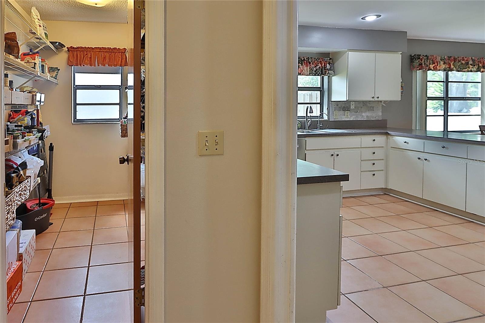 Walk-in Pantry and Kitchen