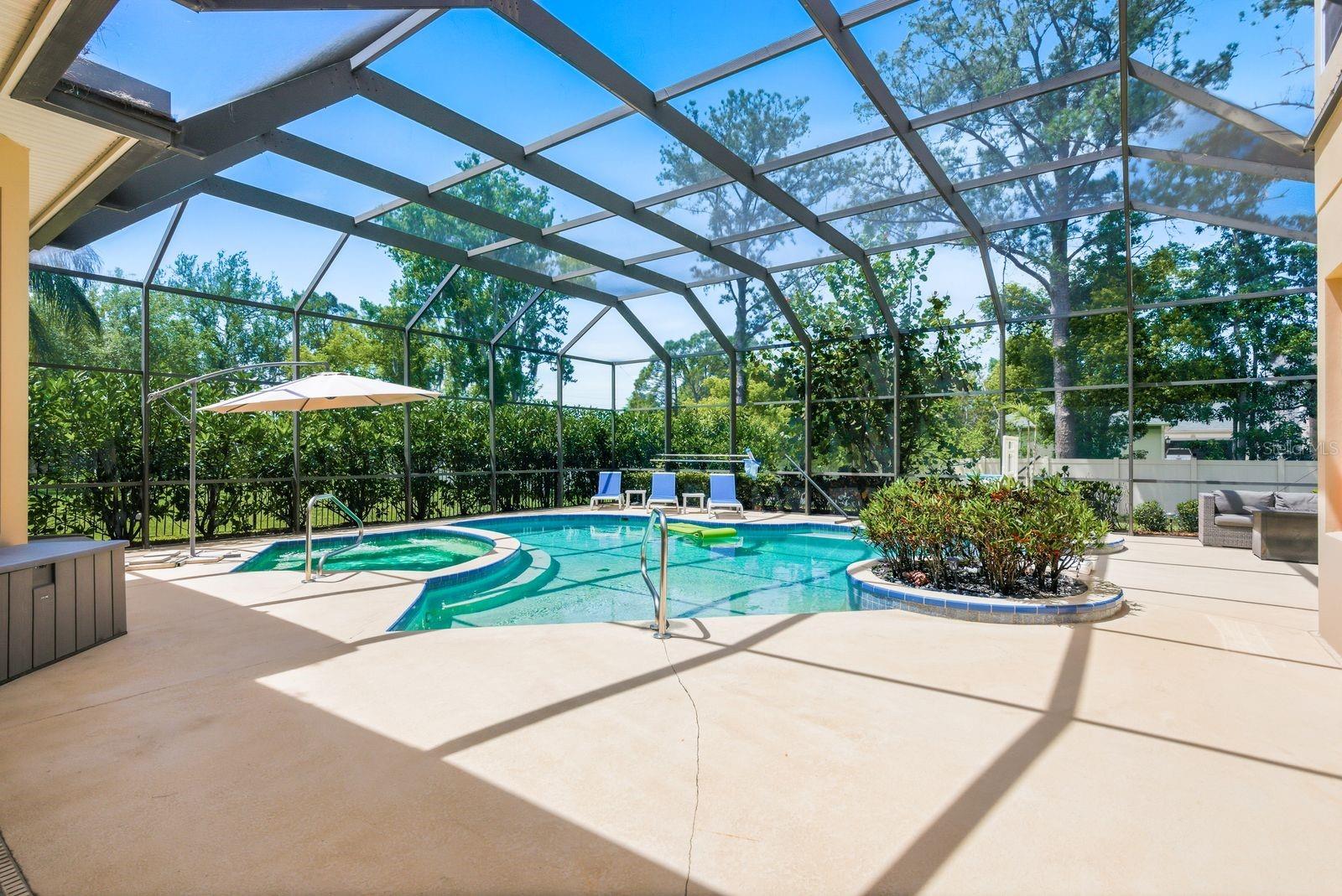 Premium pool deck & lanai, private backyard · 976 Cypress Cove Way Tarpon Springs FL 34688