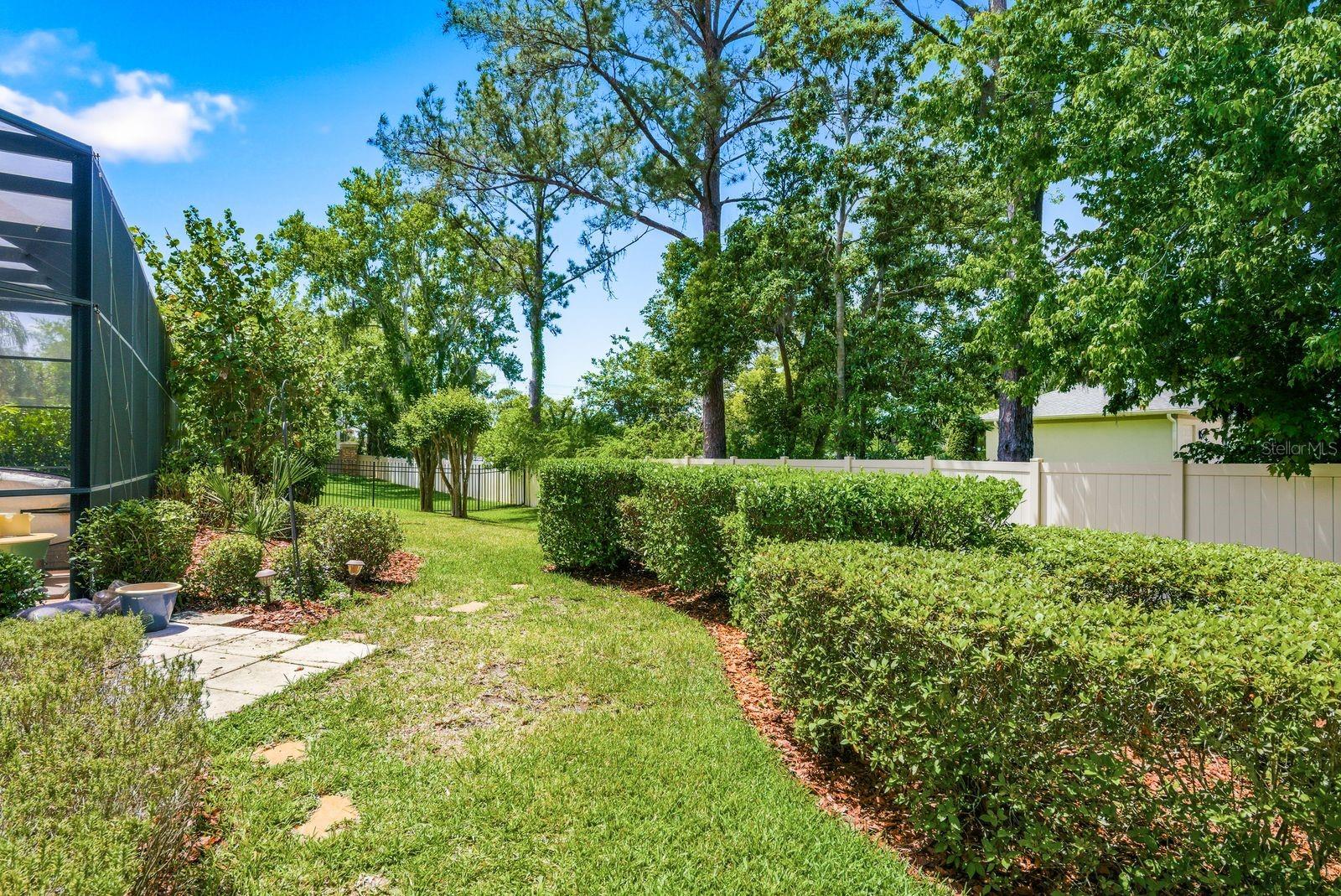 Lush fenced backyard, resort-style privacy · 976 Cypress Cove Way Tarpon Springs FL 34688