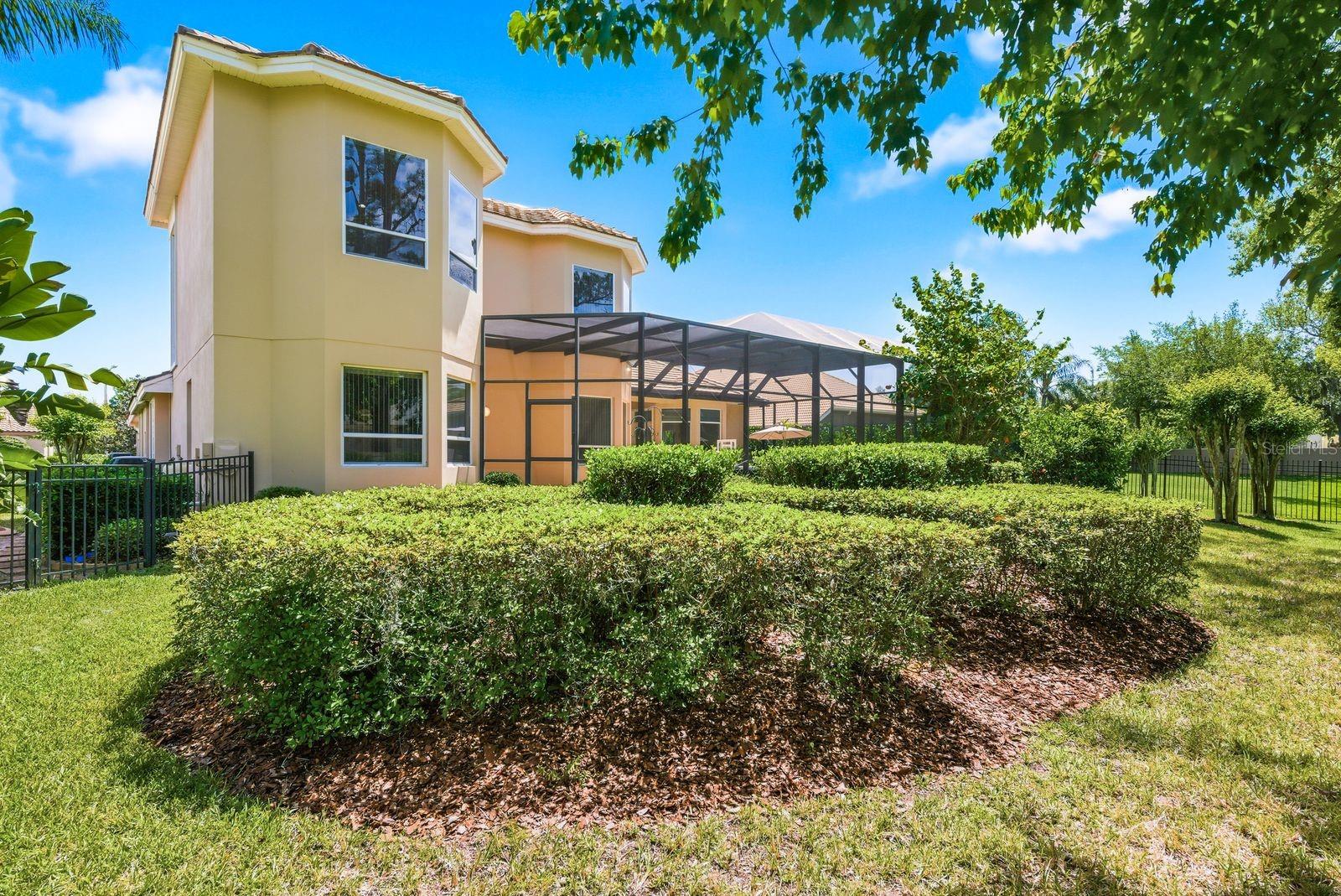 Lush fenced backyard, resort-style privacy · 976 Cypress Cove Way Tarpon Springs FL 34688