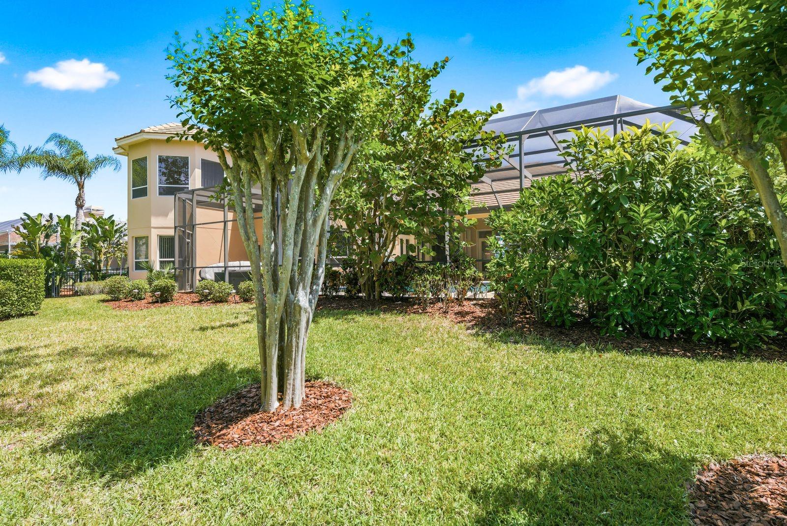 Lush fenced yard, resort-style privacy · 976 Cypress Cove Way Tarpon Springs FL 34688