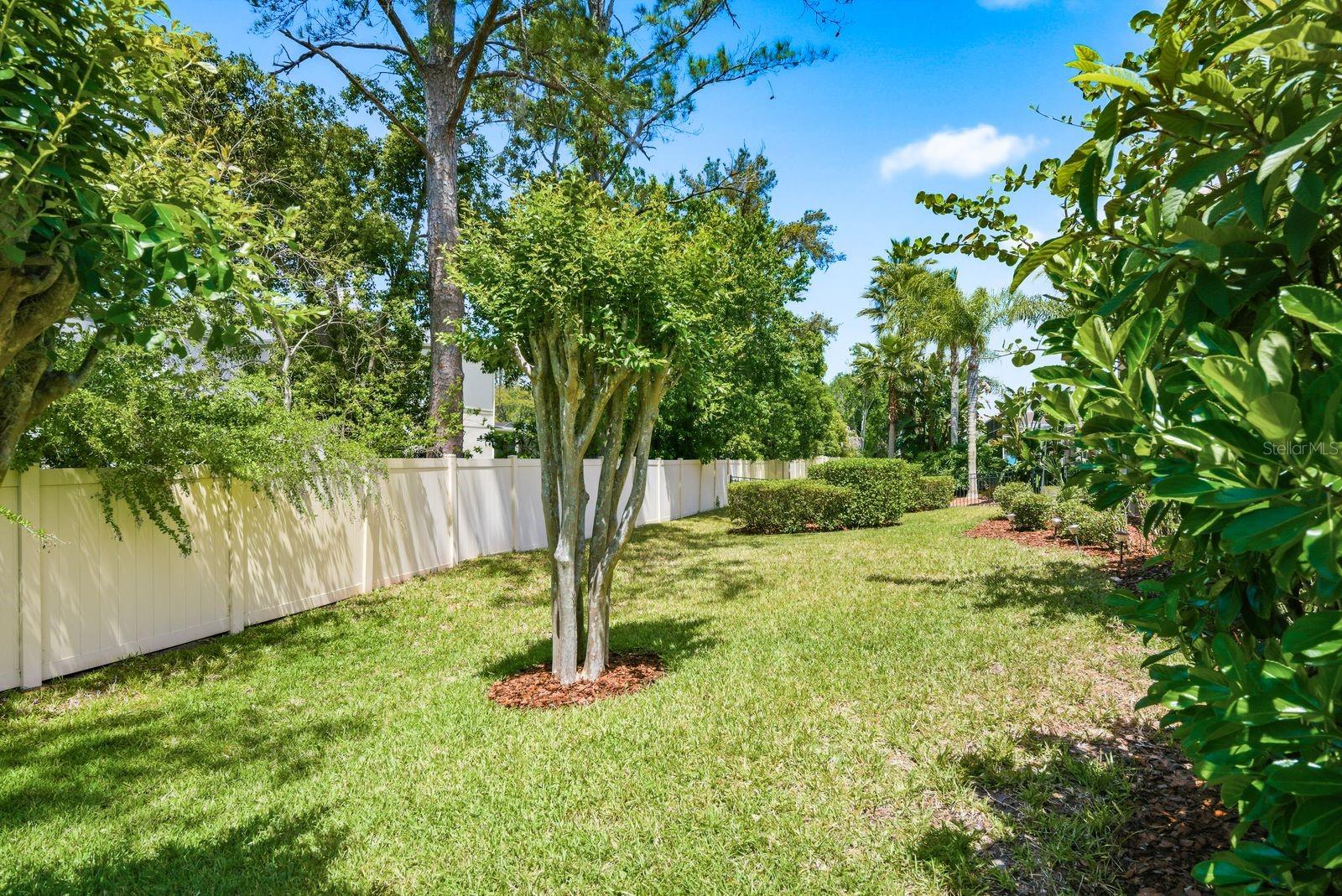 Lush fenced yard, resort-style privacy · 976 Cypress Cove Way Tarpon Springs FL 34688
