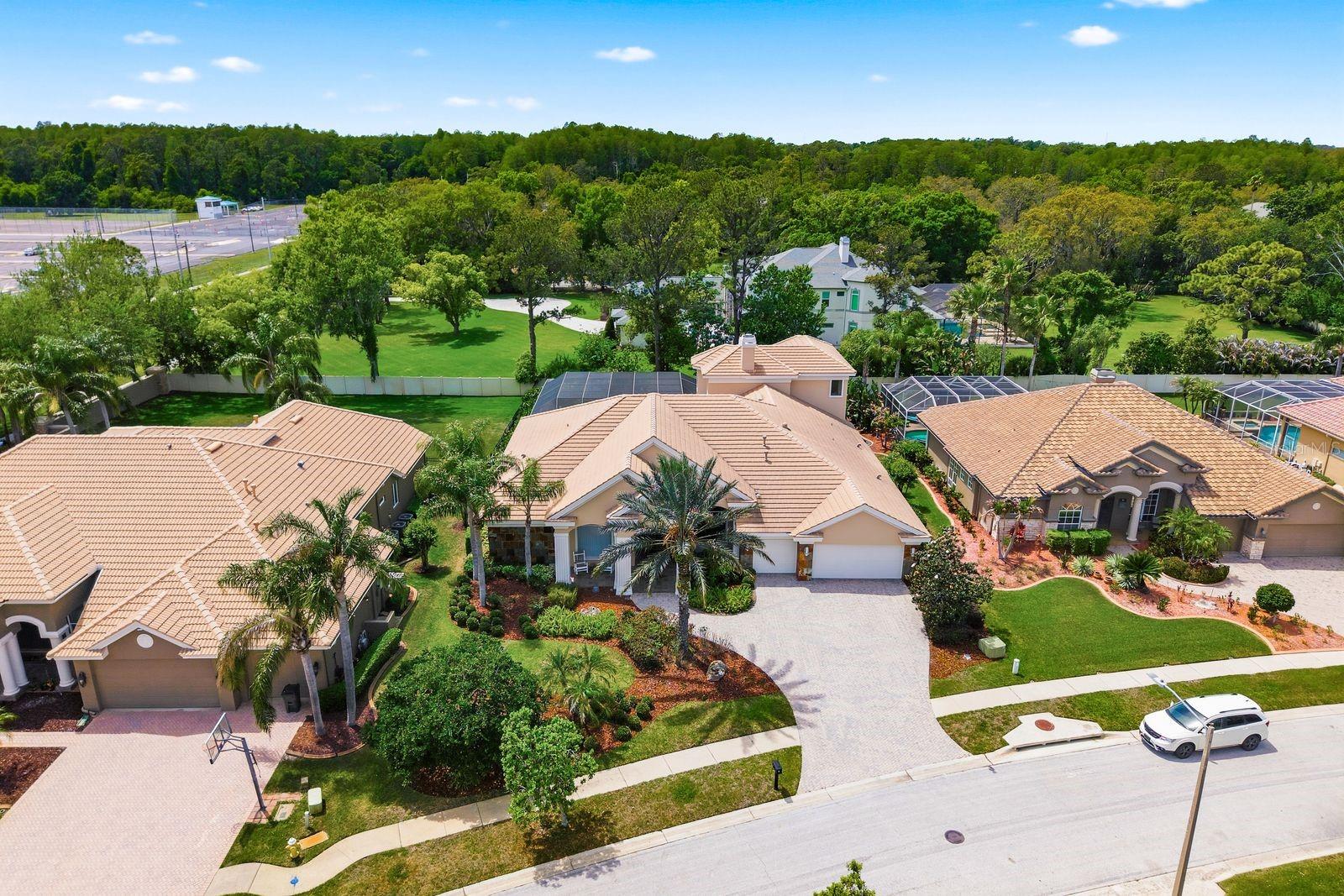Executive home, statement columns & brick paver drive · 976 Cypress Cove Way Tarpon Springs FL  34688