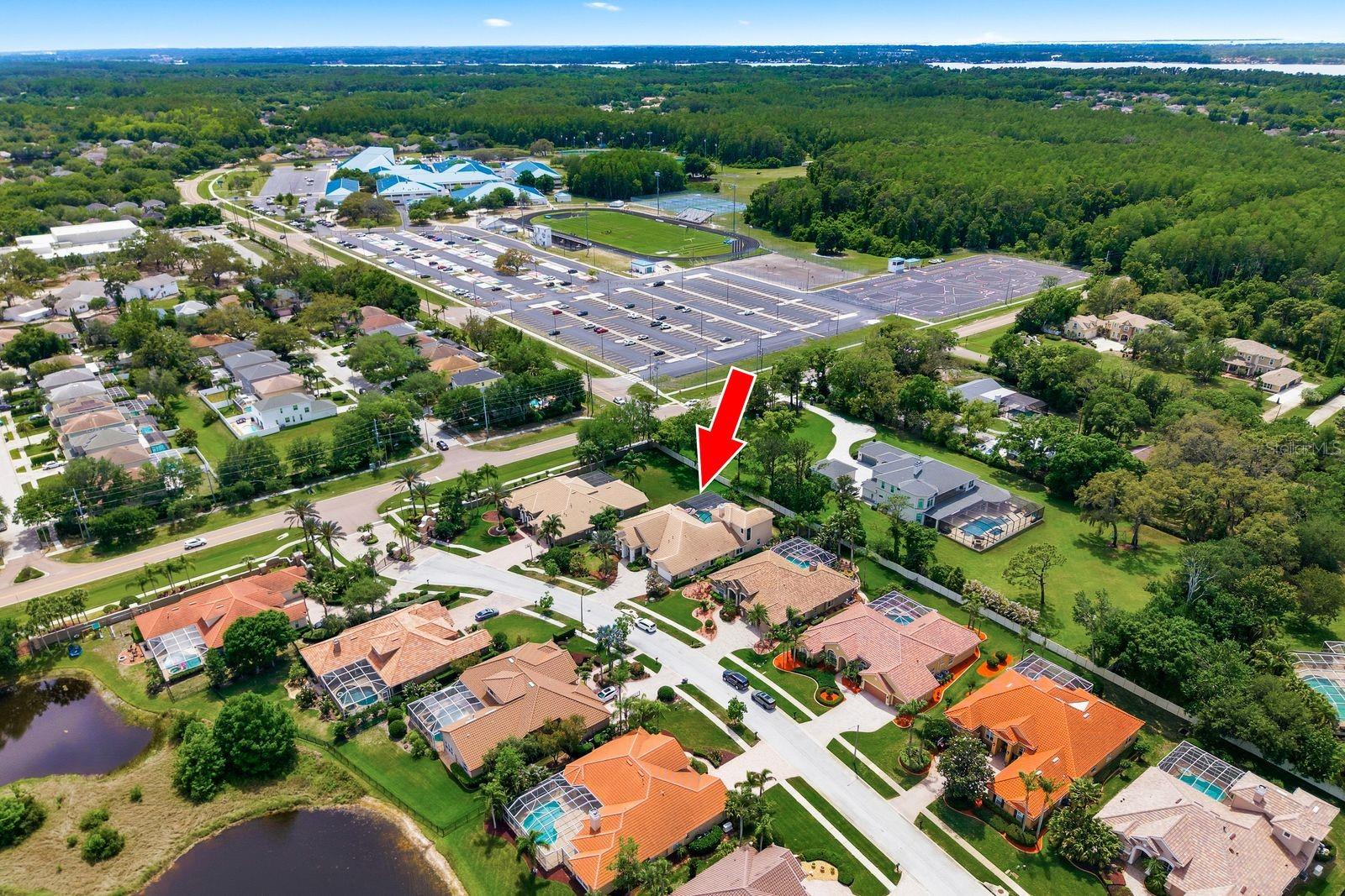 Aerial, exclusive 28-home Cypress Cove Estates · Tarpon Springs, FL 34688