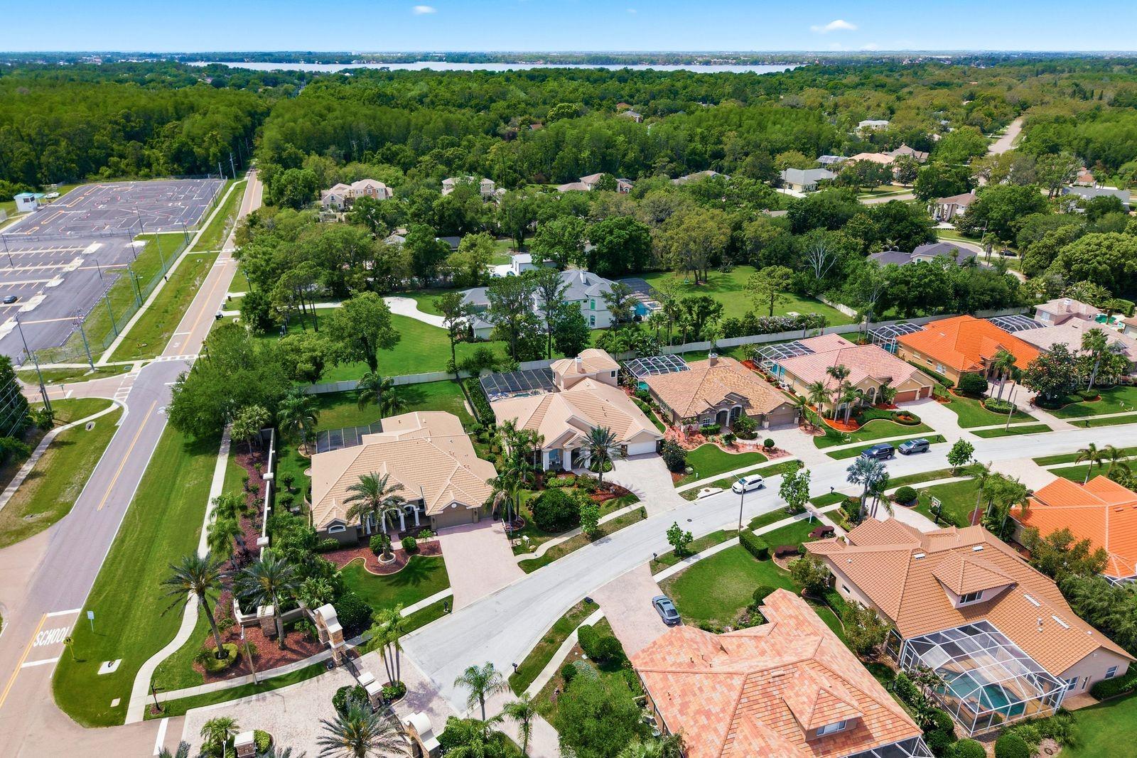 Aerial, exclusive 28-home Cypress Cove Estates · Tarpon Springs, FL 34688