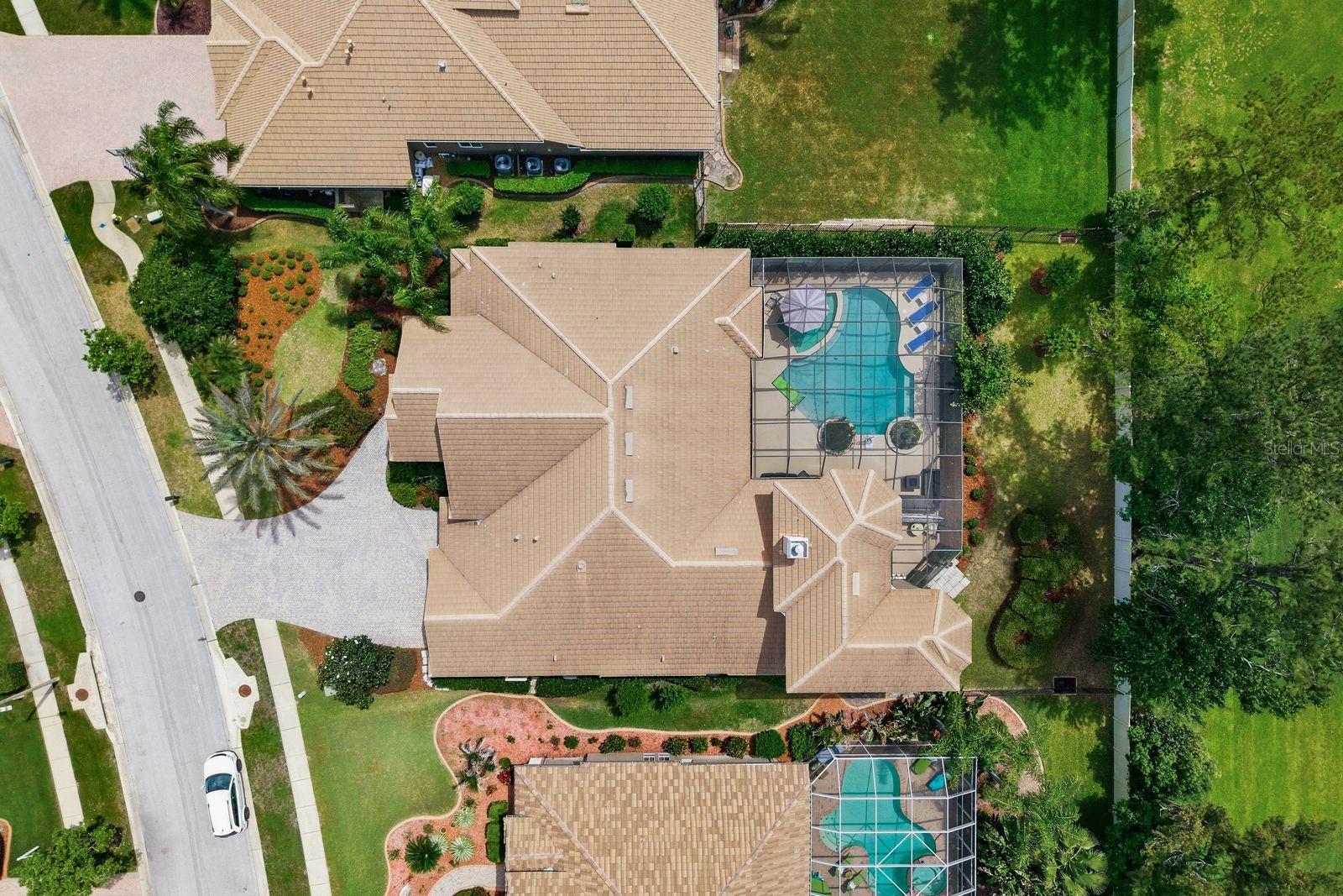 Aerial view, pool & private lot · 976 Cypress Cove Way Tarpon Springs FL 34688