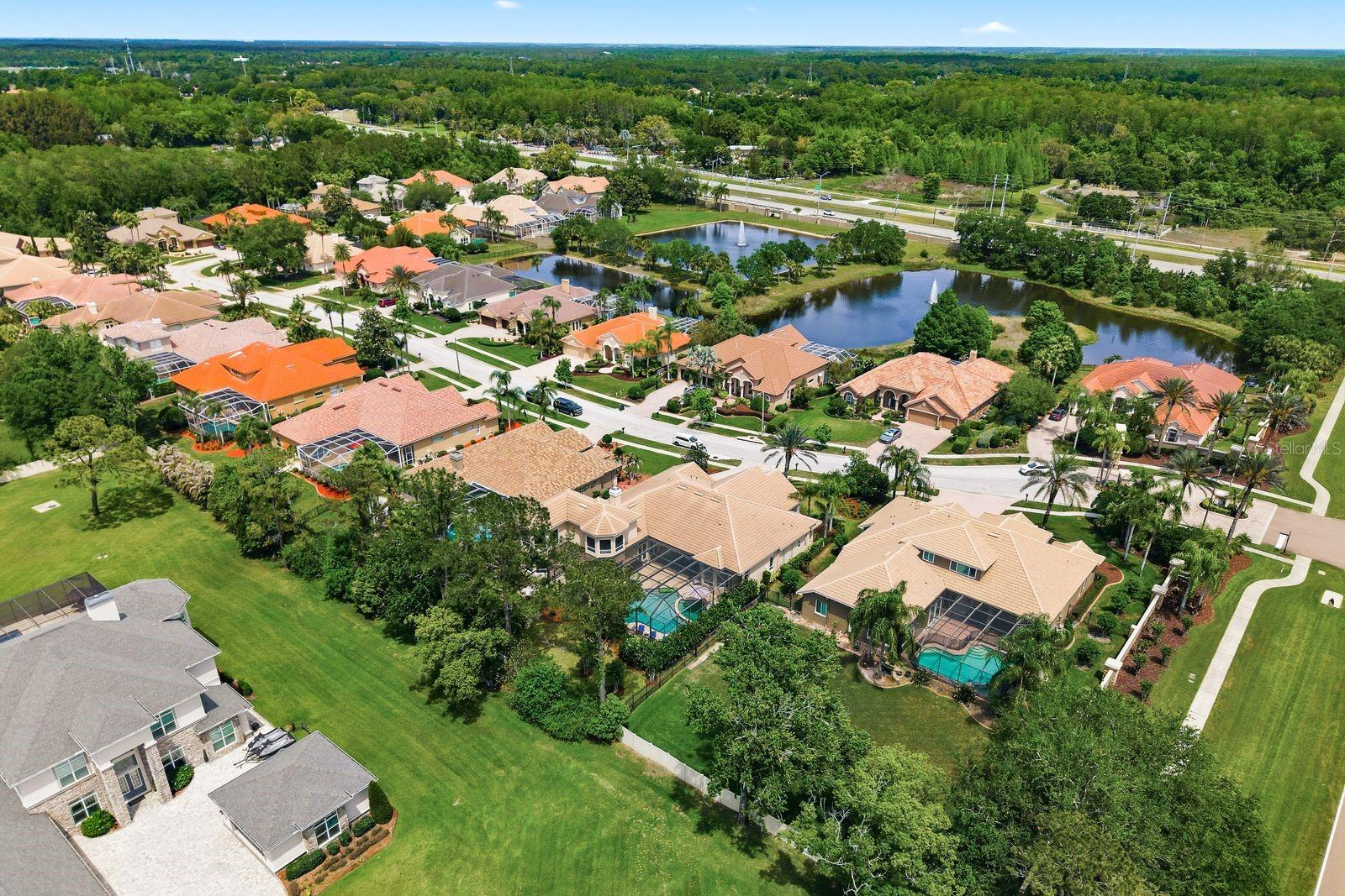 Aerial, exclusive 28-home Cypress Cove Estates · Tarpon Springs FL 34688