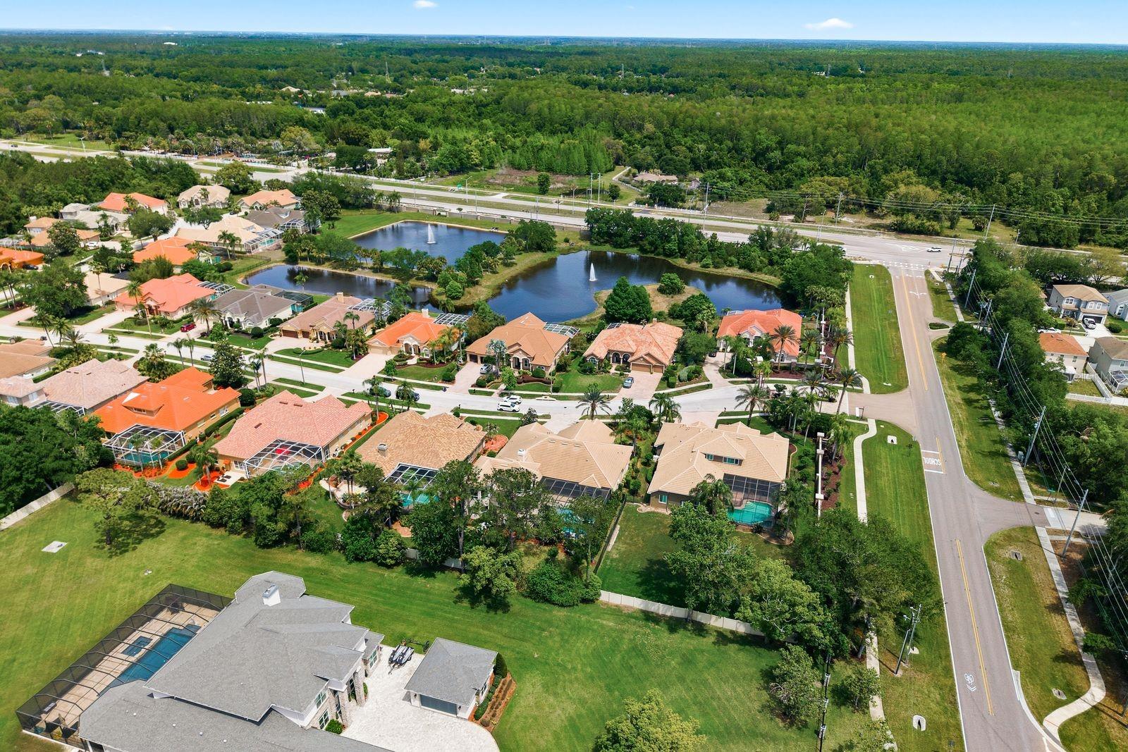 Aerial, exclusive 28-home Cypress Cove Estates · Tarpon Springs FL 34688