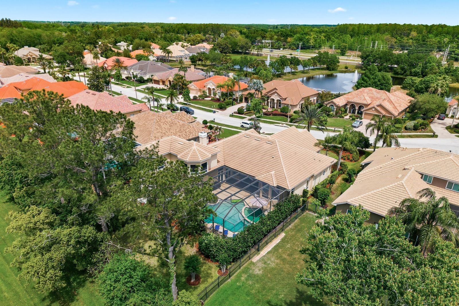 Aerial, exclusive 28-home Cypress Cove Estates · Tarpon Springs FL 34688