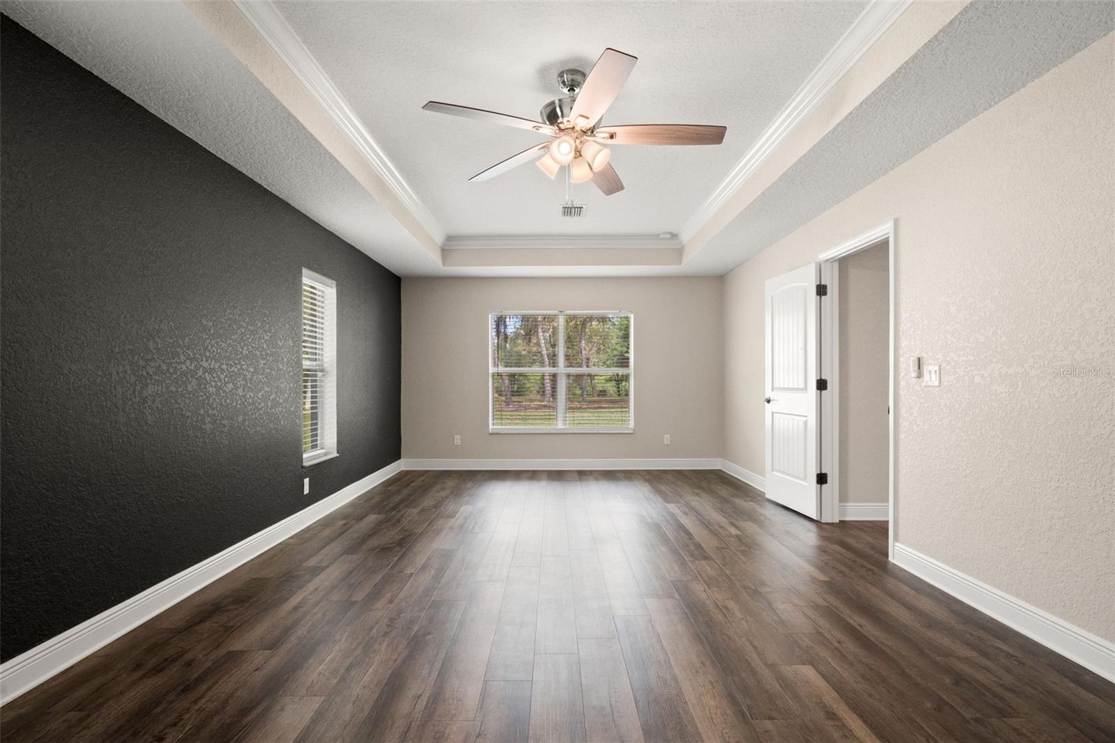 Primary Bedroom with Tray Ceilings