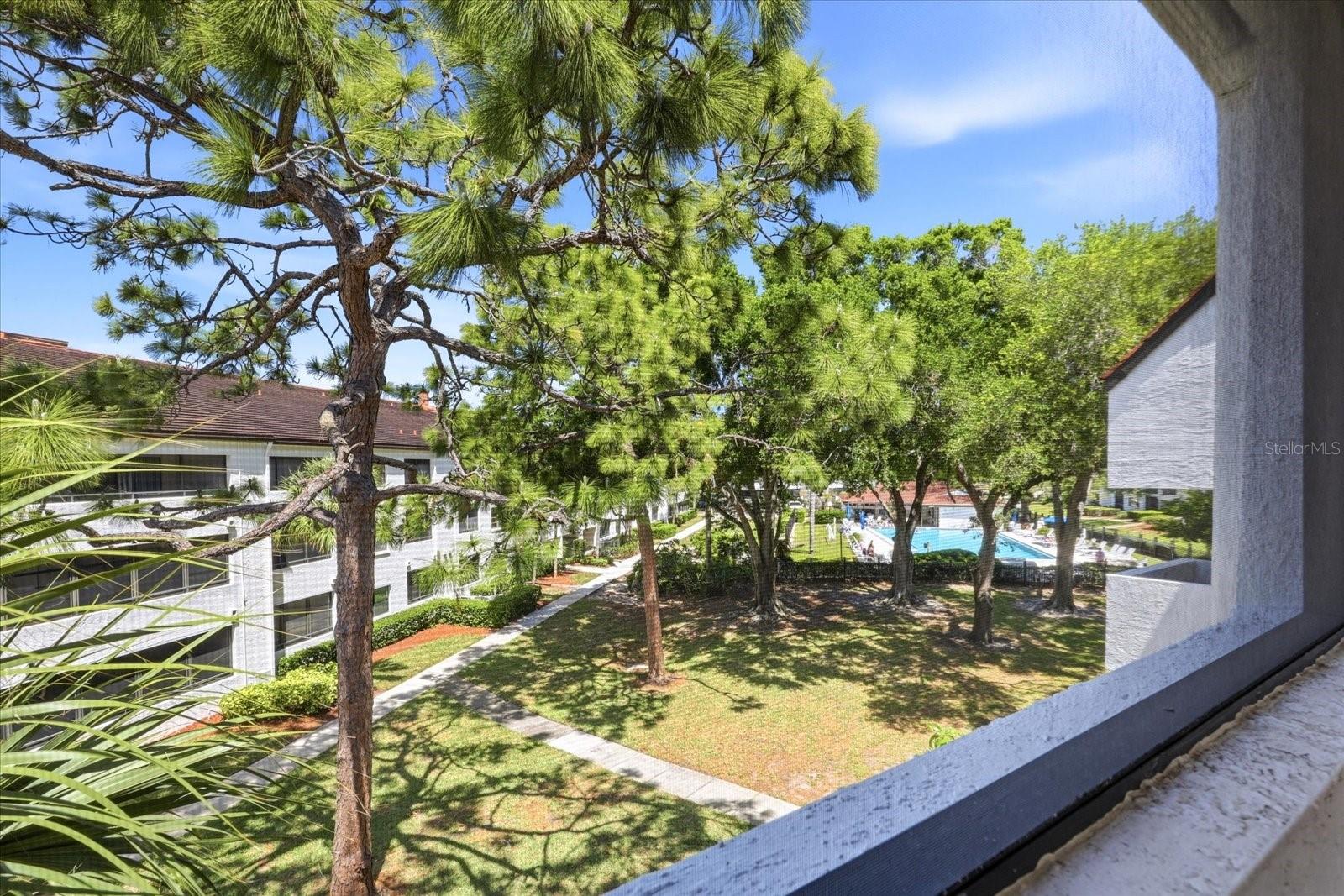 View of Pool from Guest Bedroom Balcony