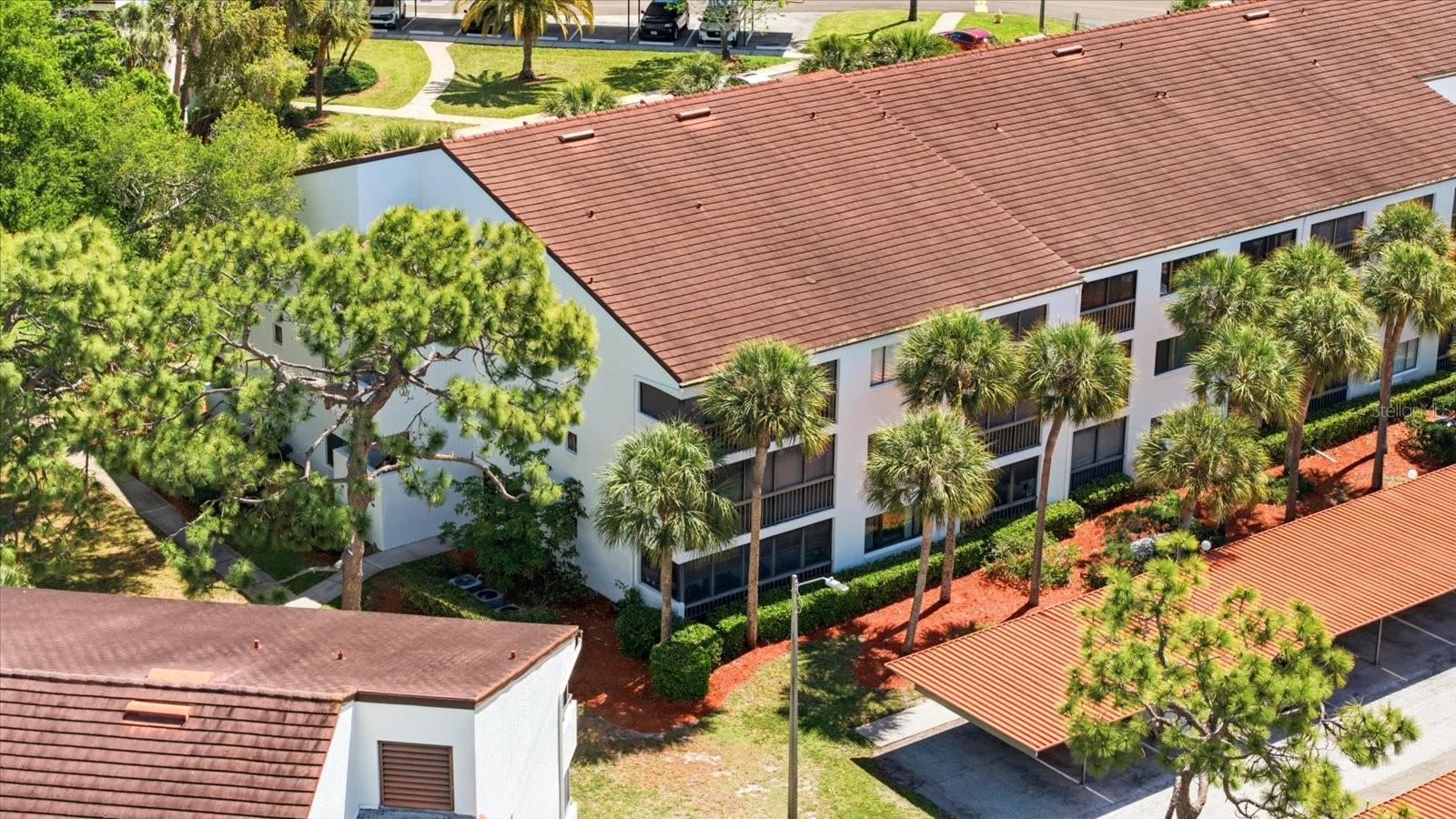 Aerial View of Building 7