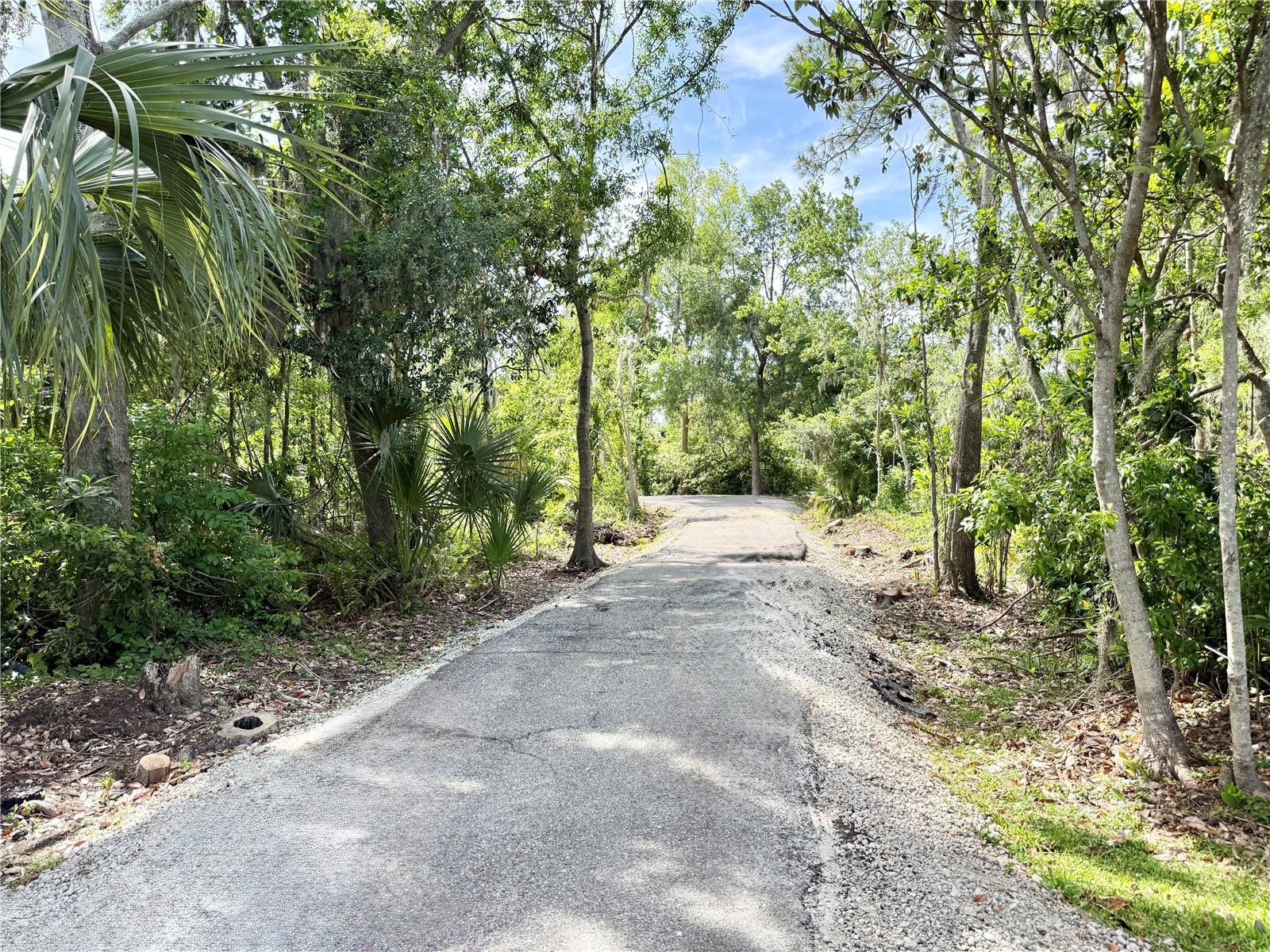 Walking Trails around the Lake
