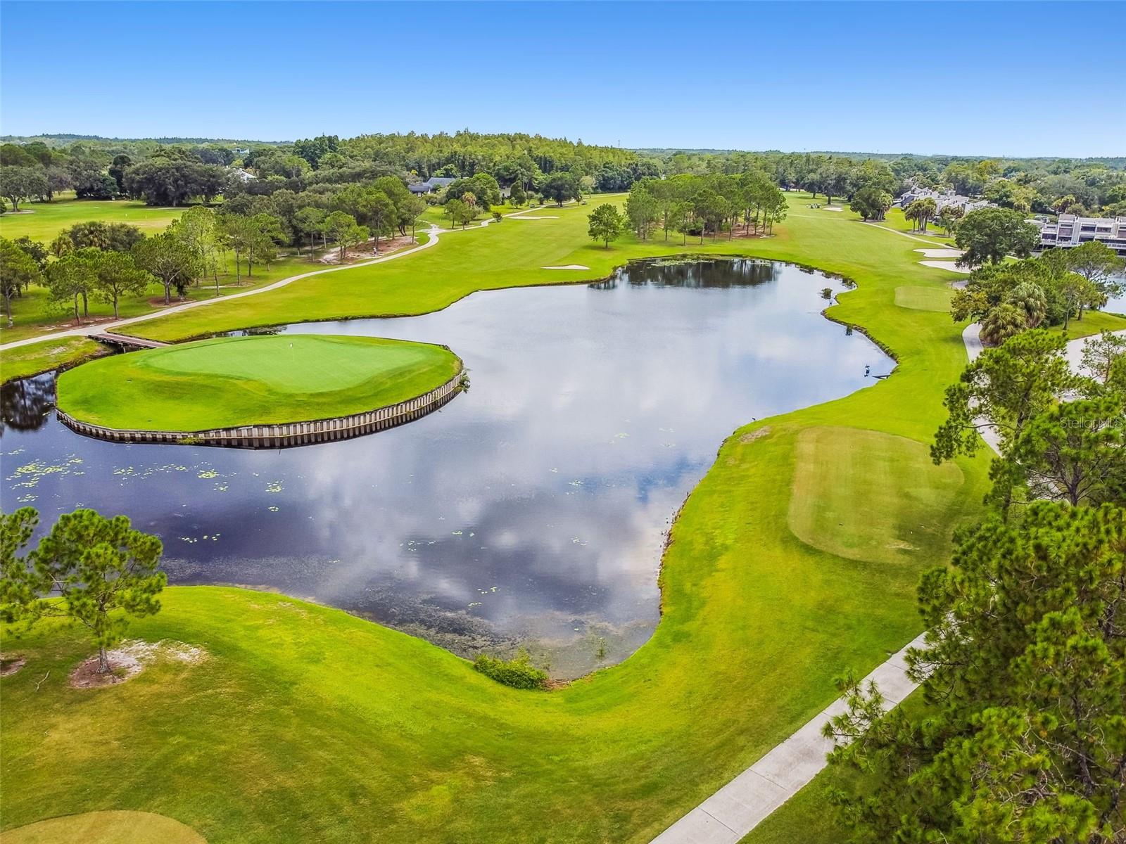 Arial View Of Lake And Greenery