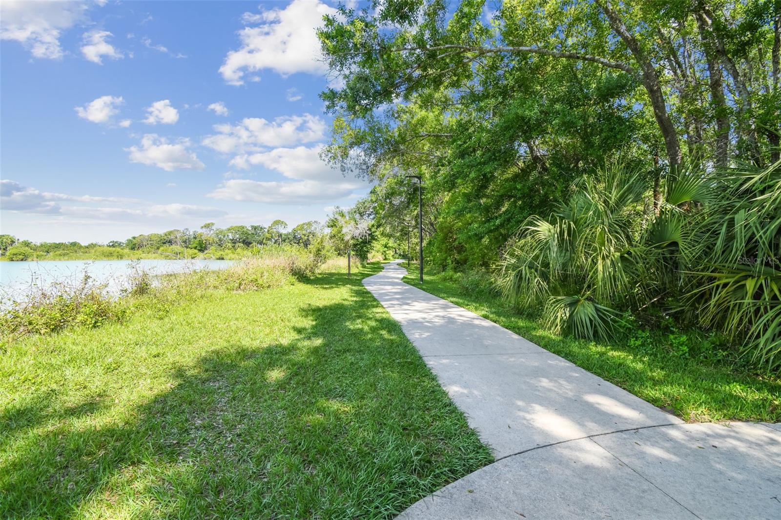 Scenic Sidewalk With Greenery