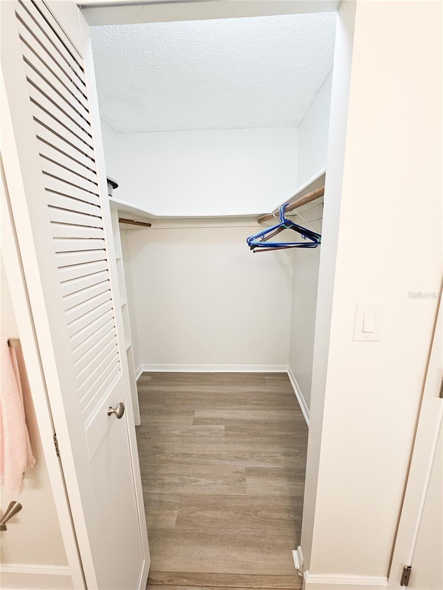 Walk-in Closet in Primary Bath.
