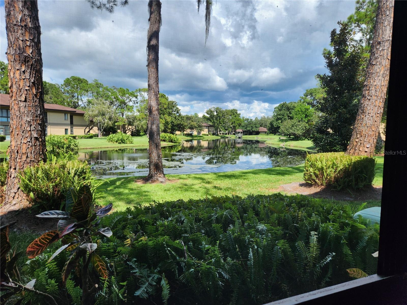 View of pond from porch.