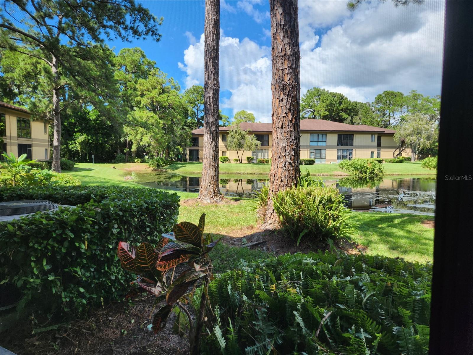 Lots of greenery too.