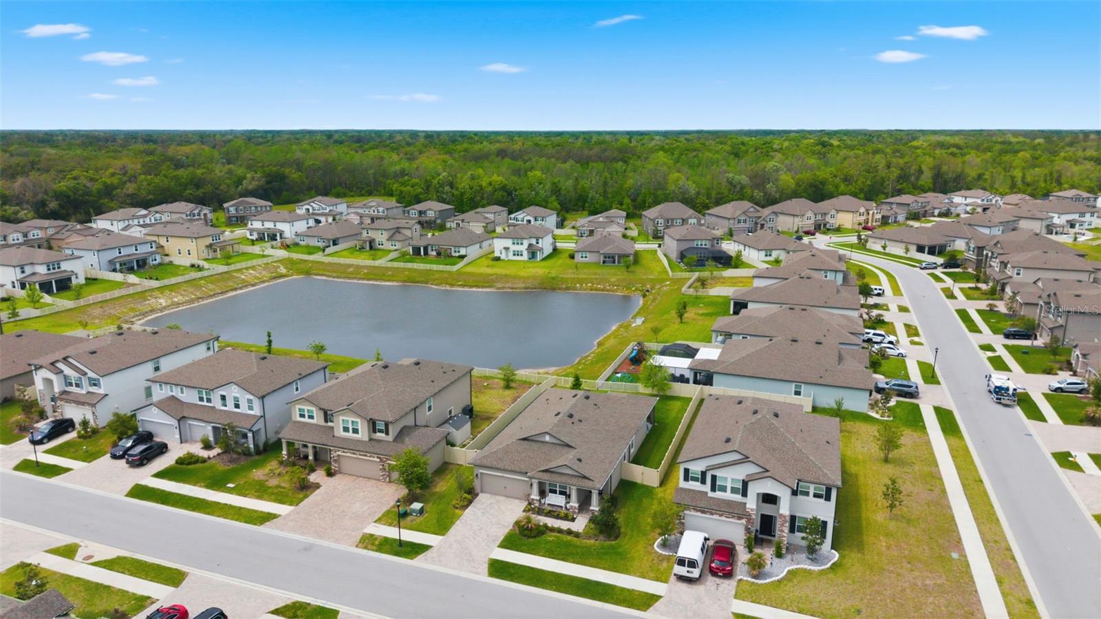 Pond View From Backyard