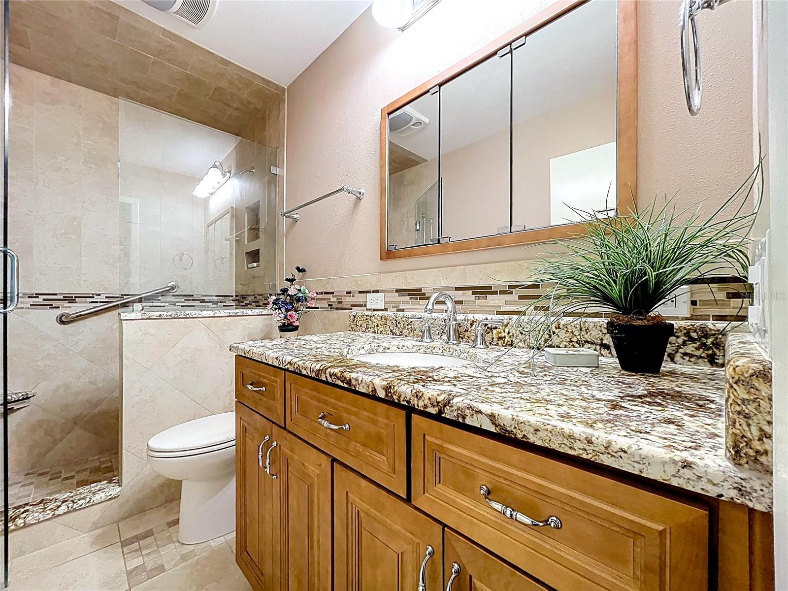 Tiled shower and granite countertop
